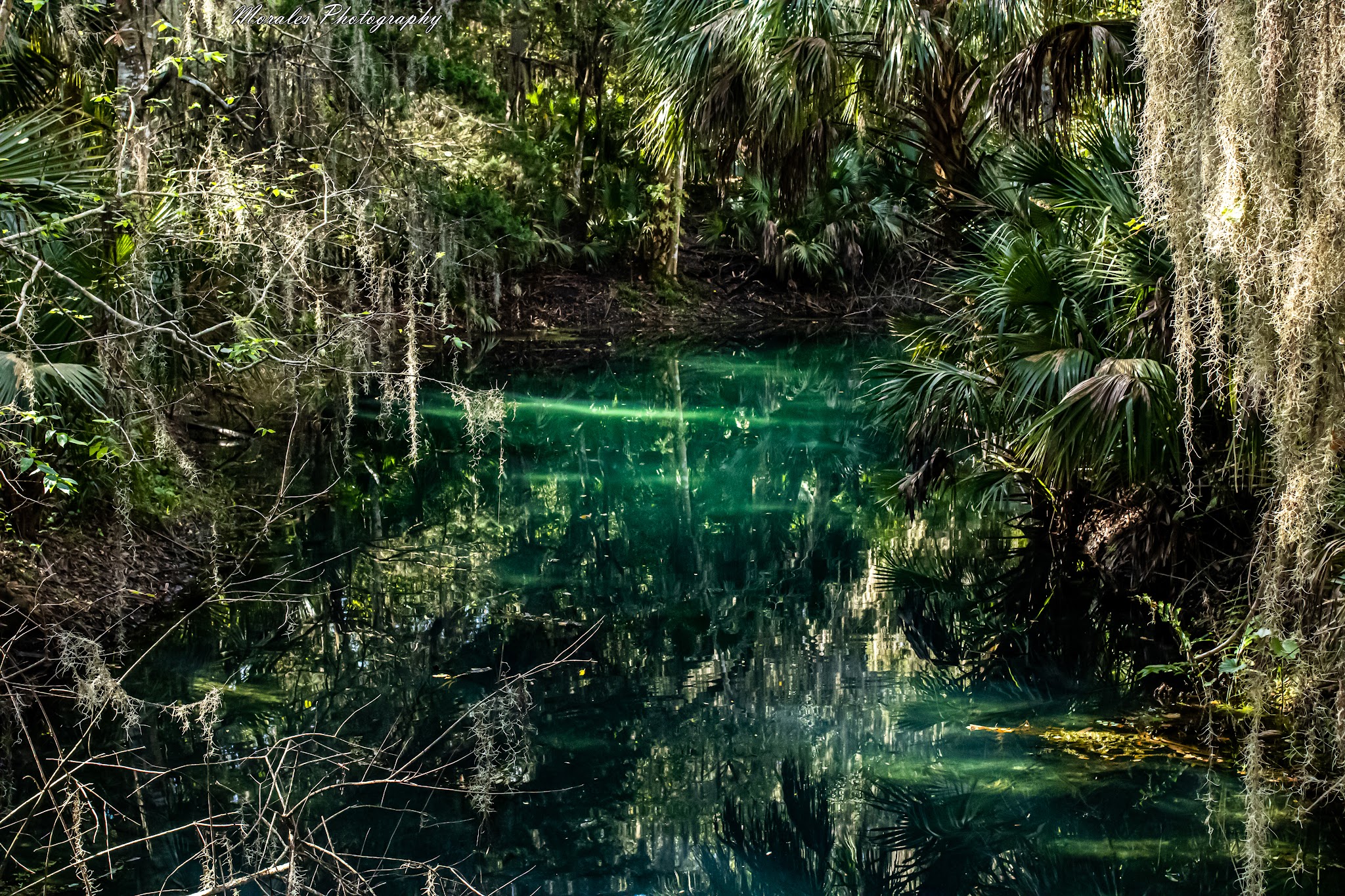 Gemini Springs Park - DeBary, FL
