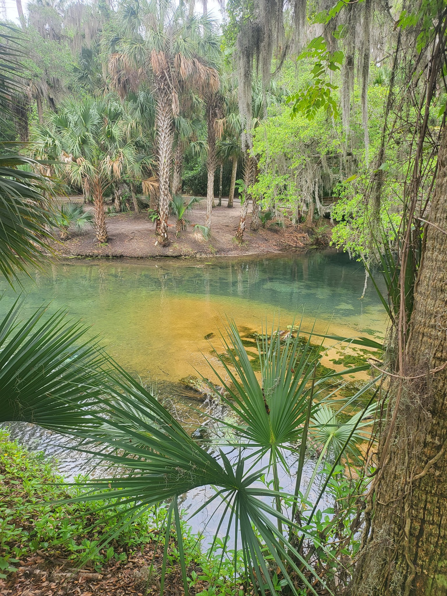 Gemini Springs Park - DeBary, FL