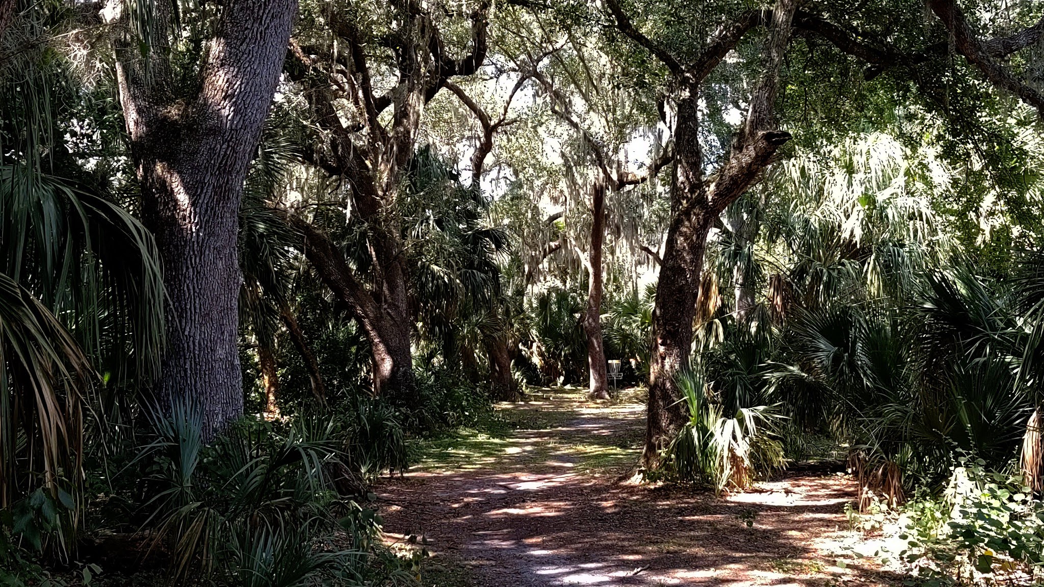 River City Nature Park - DeBary, FL