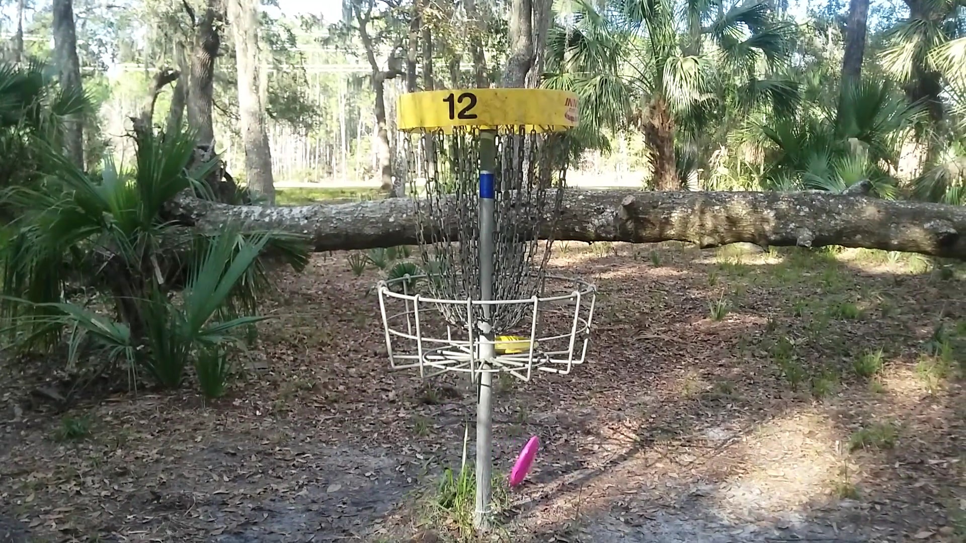 River City Nature Park - DeBary, FL