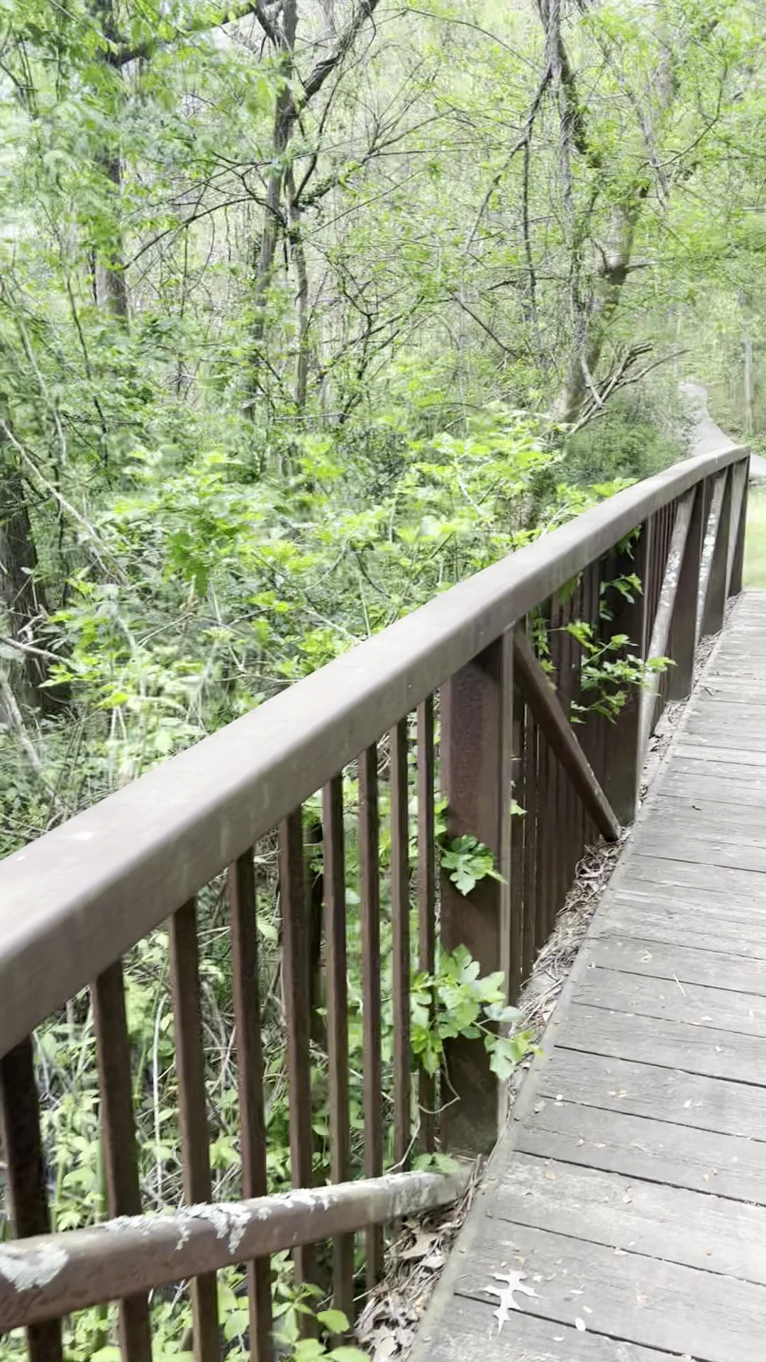 Glenlake Dog Park - Decatur, GA