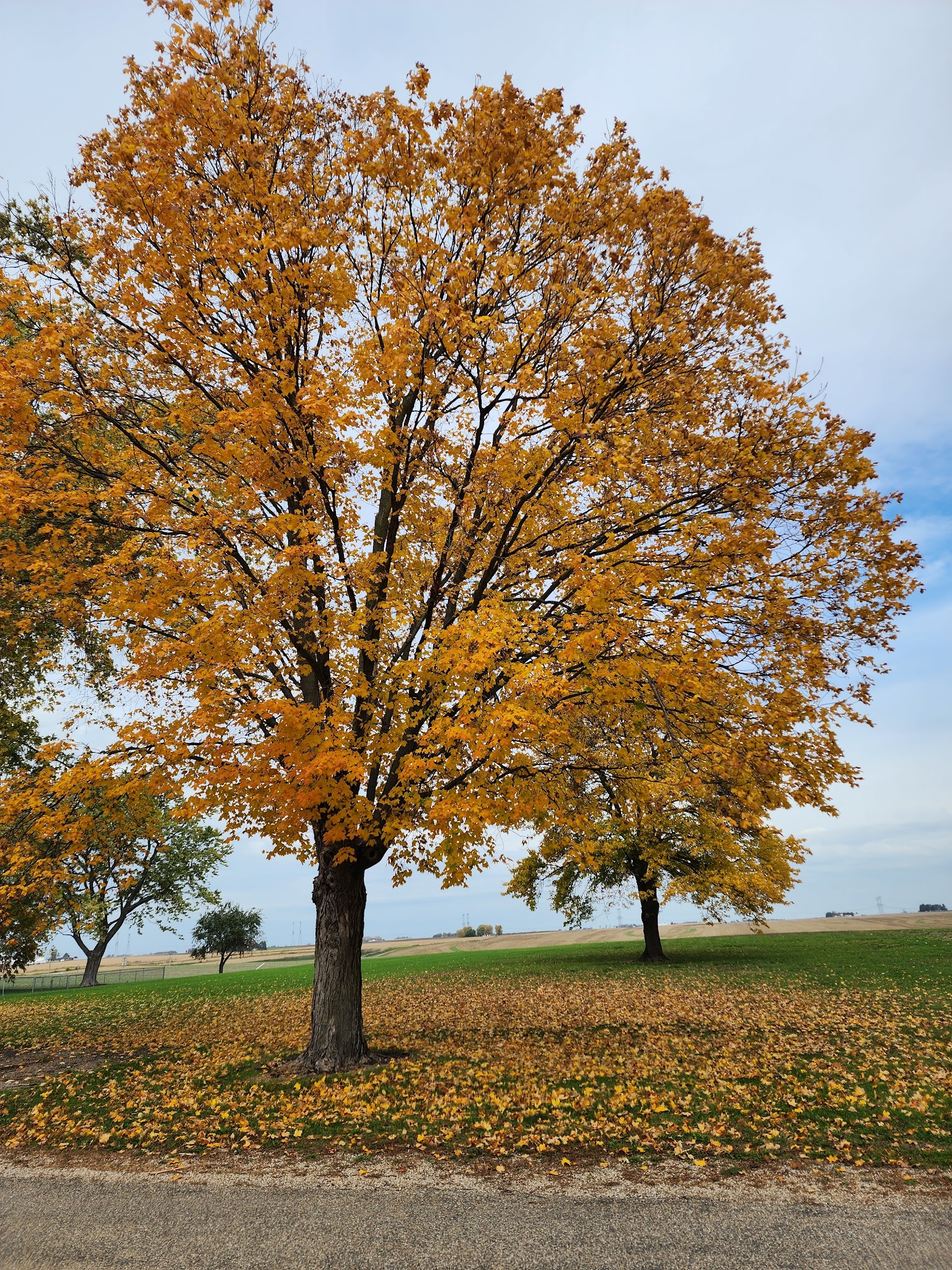 Mishler Park - Deer Creek, IL