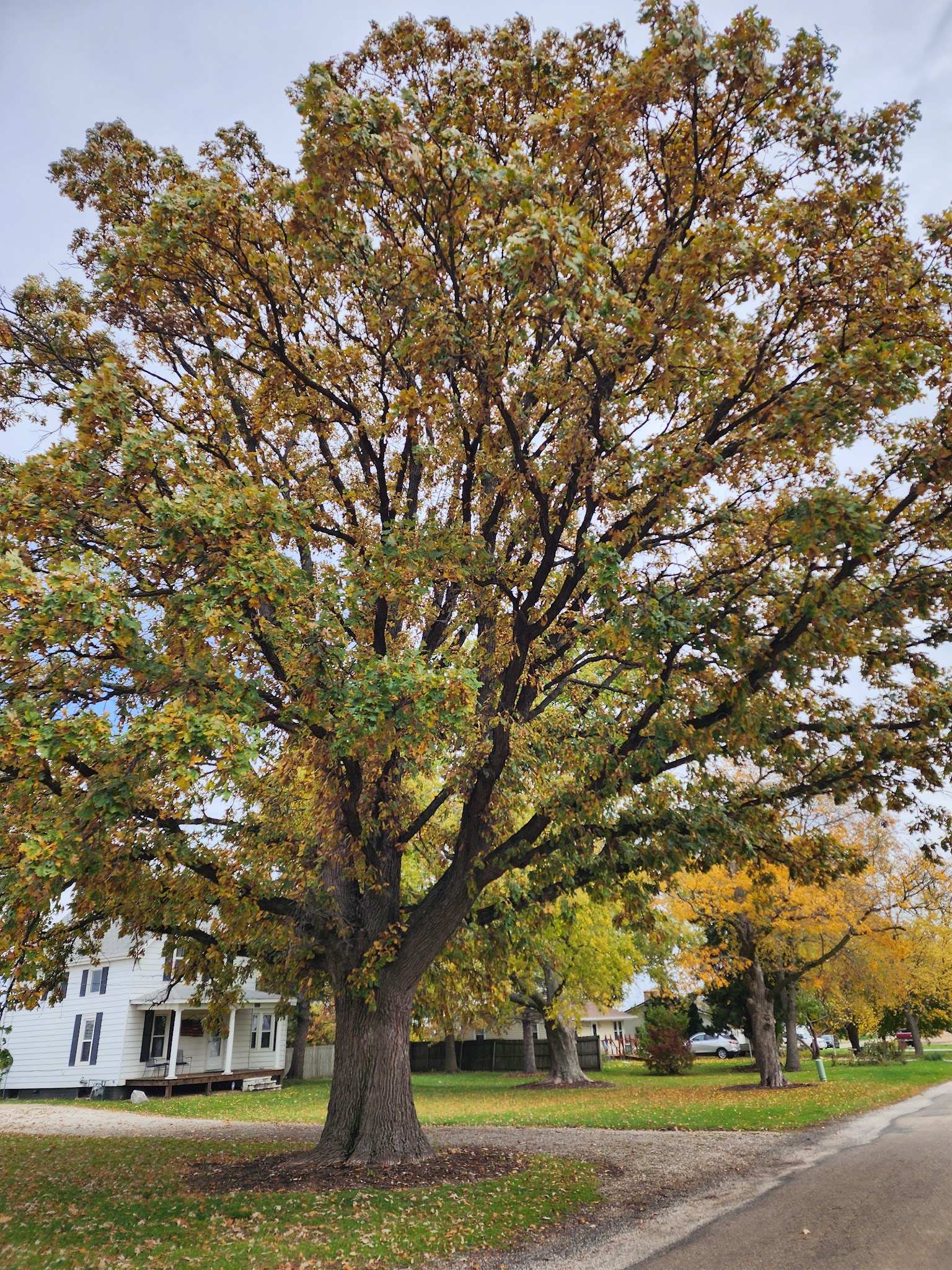 Mishler Park - Deer Creek, IL