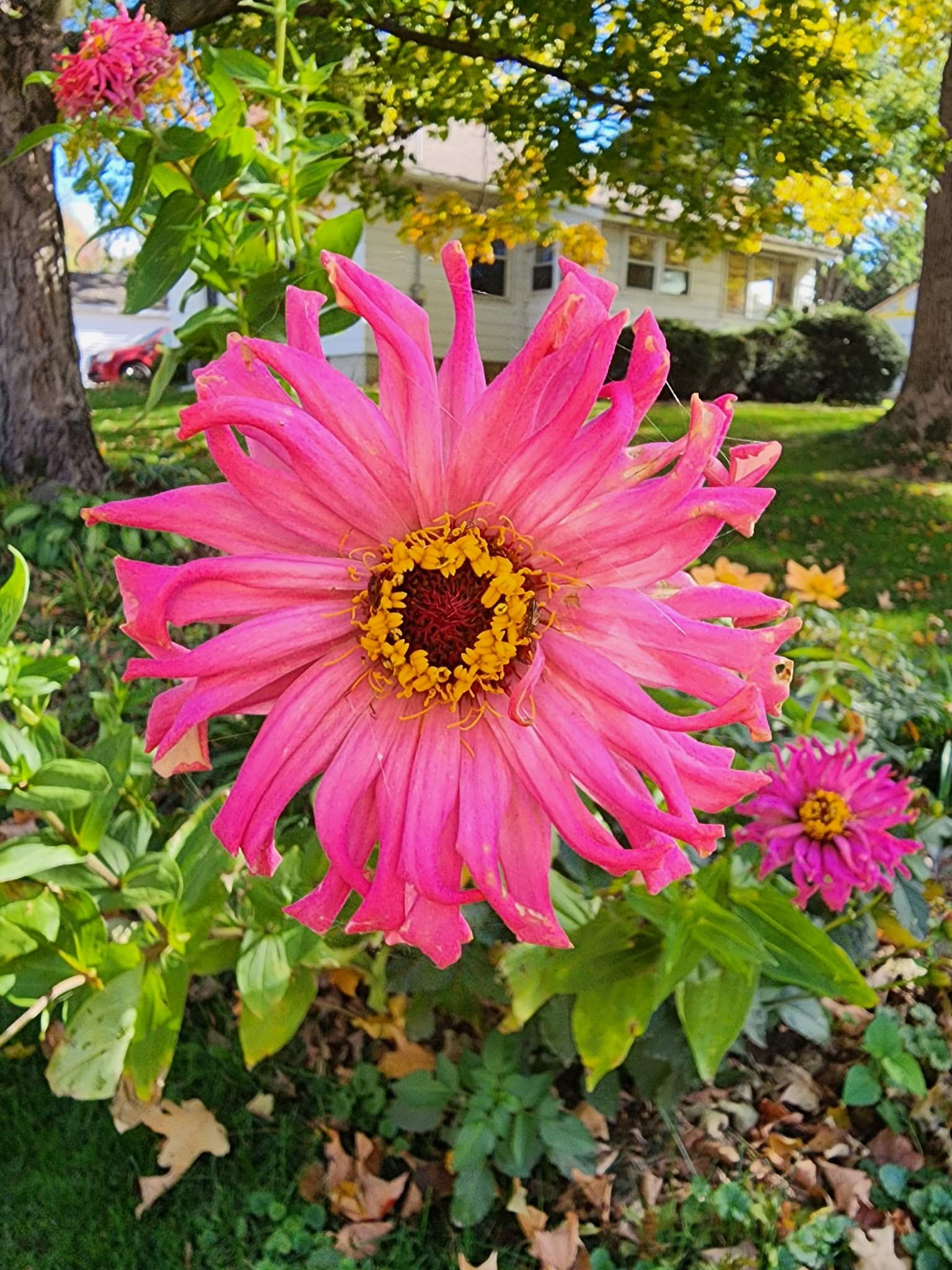 Mishler Park - Deer Creek, IL