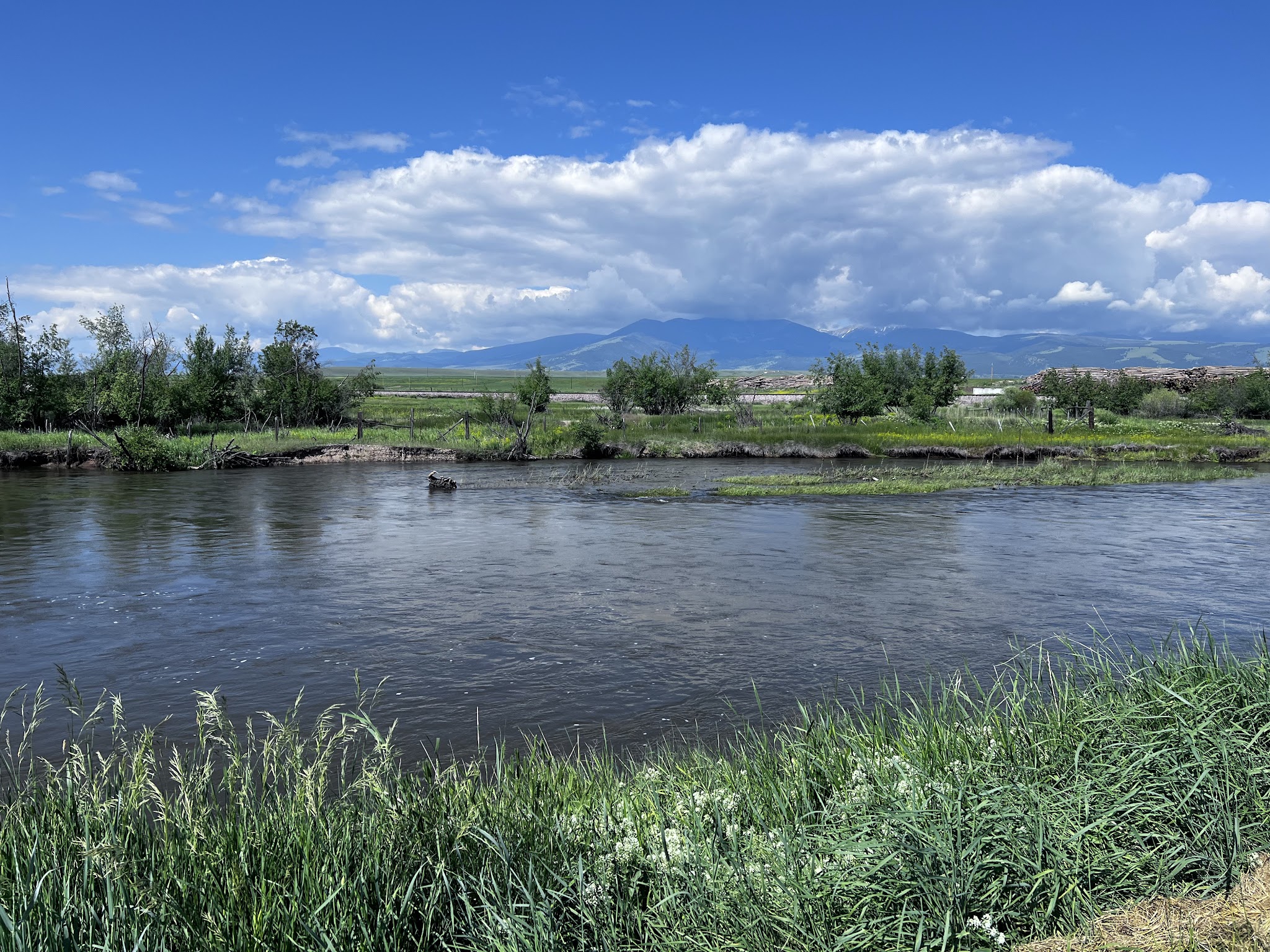 Arrow Stone Park - Deer Lodge, MT