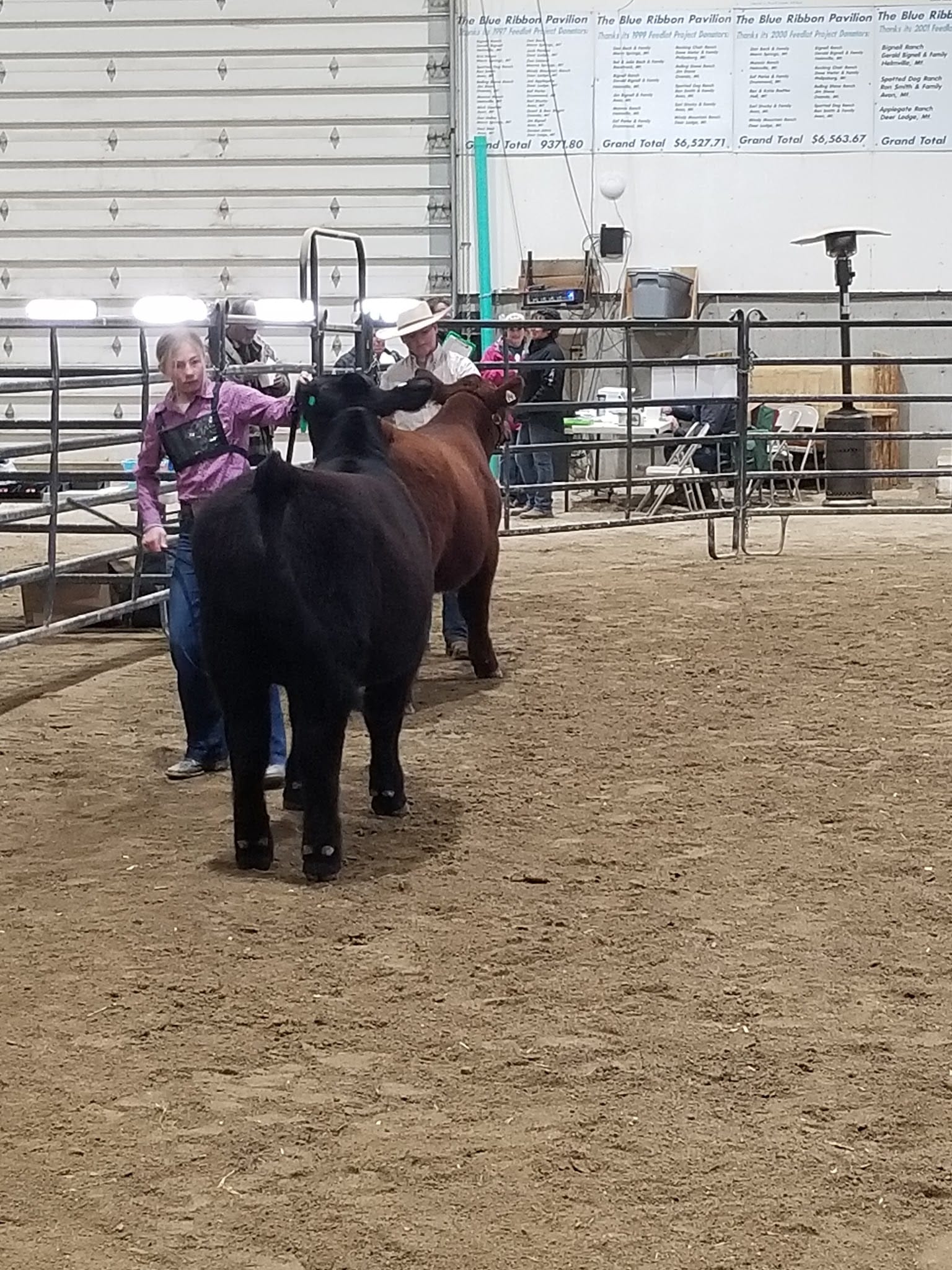 Blue Ribbon Pavilion - Deer Lodge, MT