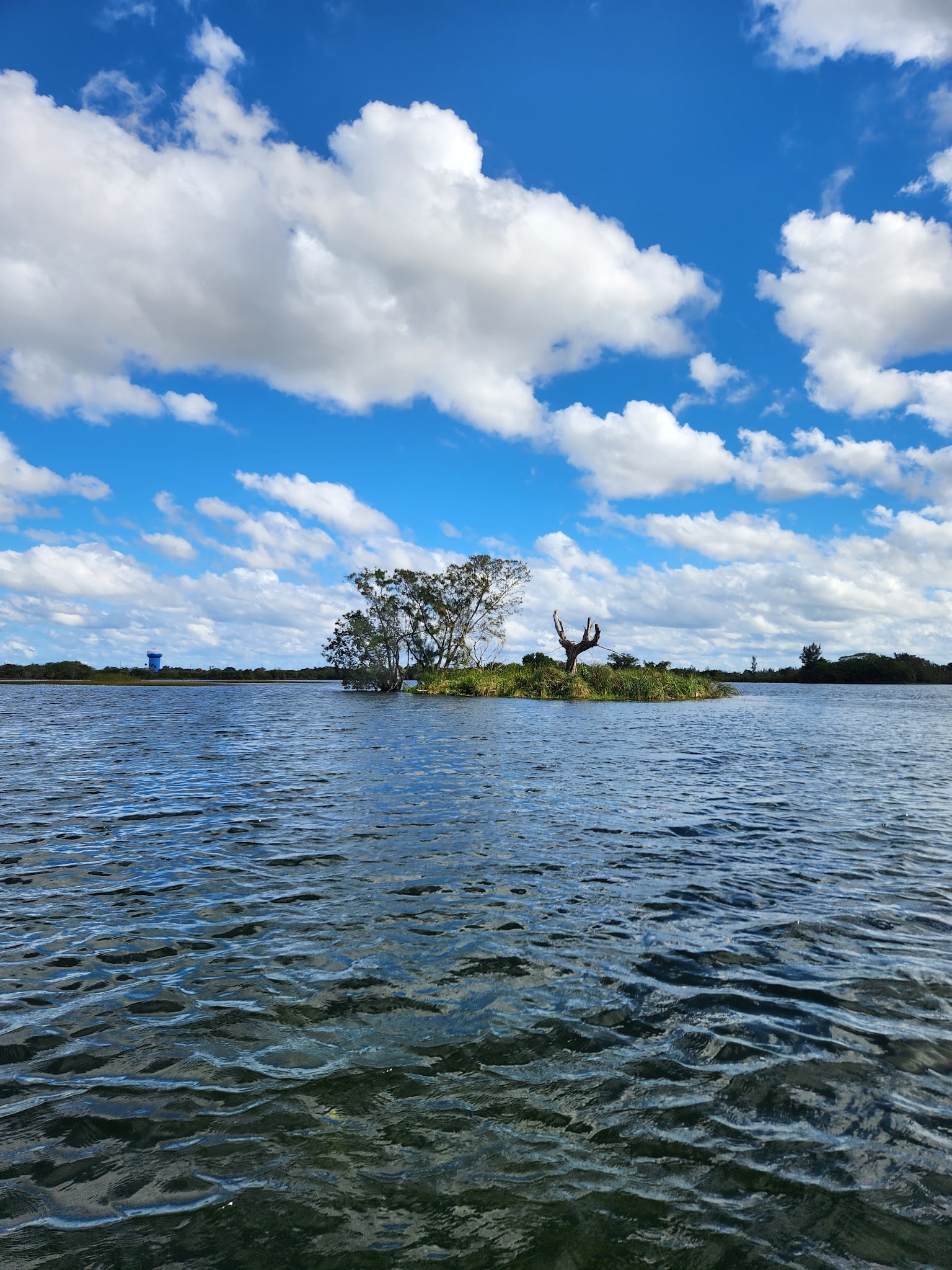 Woofing Water, Dog Park & marina - Deerfield Beach, FL