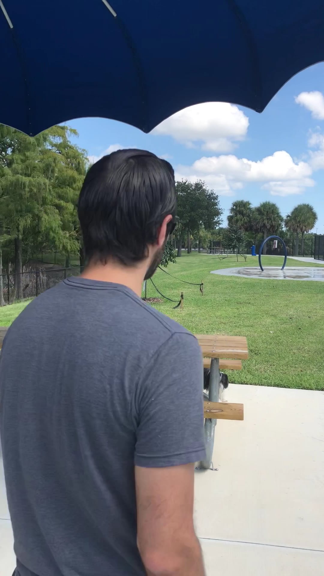 Woofing Water, Dog Park & marina - Deerfield Beach, FL