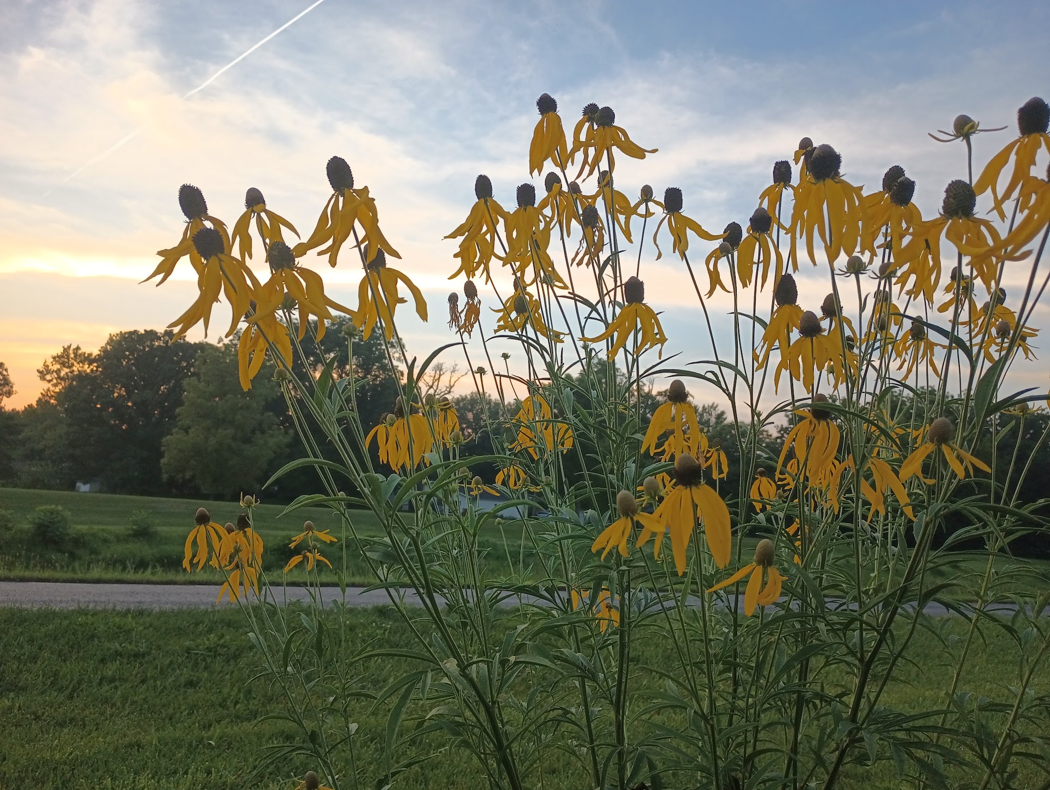 Deprin Park - DeKalb, IL