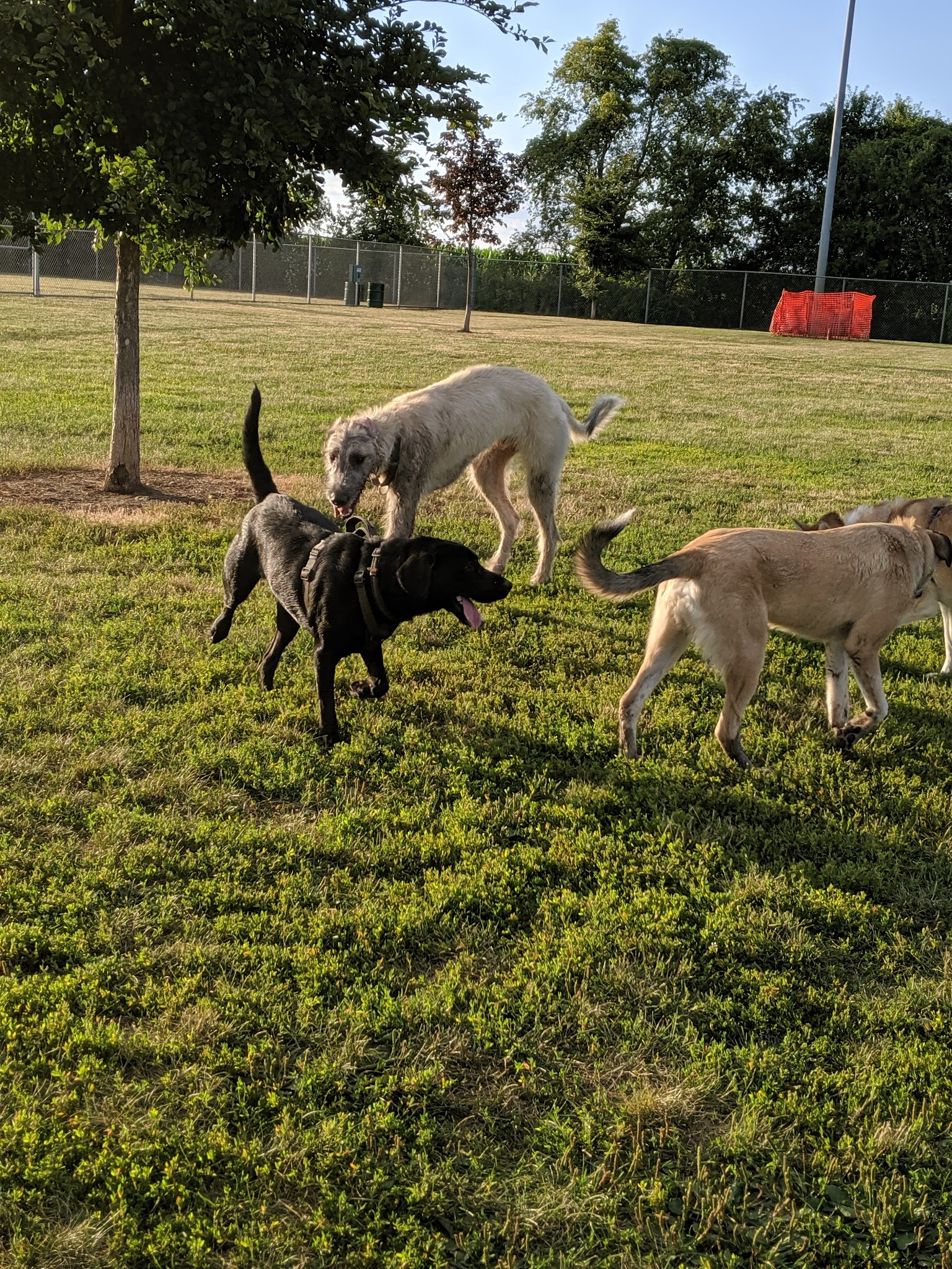 Katz Park - DeKalb, IL