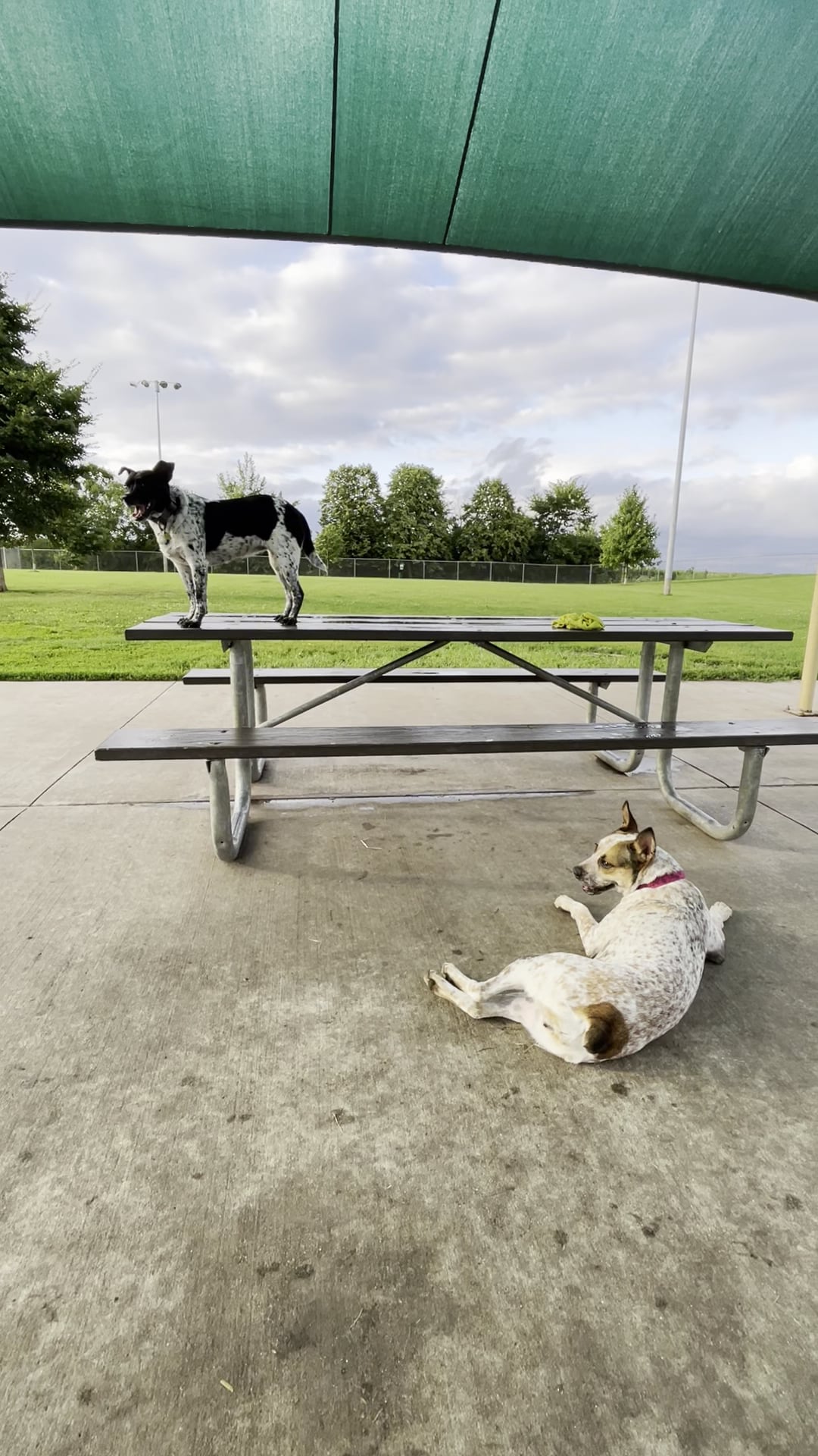 Katz Park - DeKalb, IL
