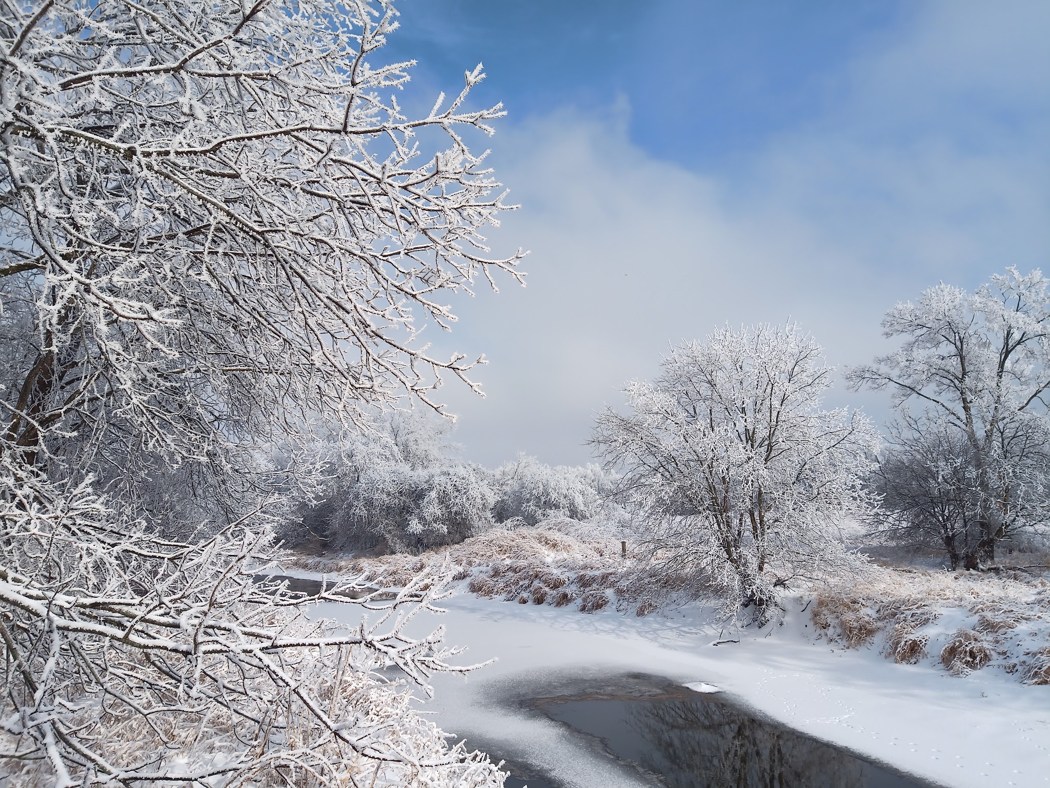 Prairie Park - DeKalb, IL