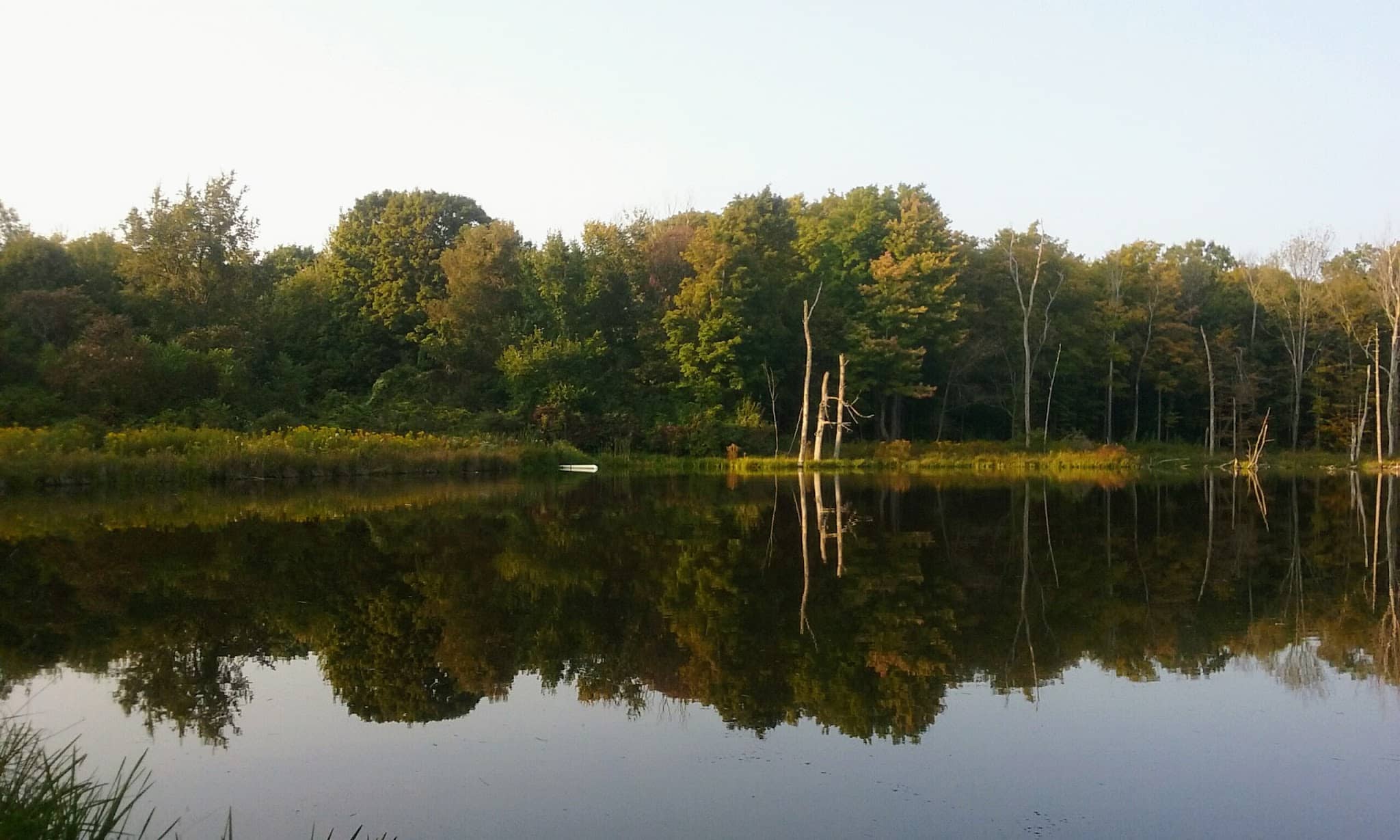Schenectady County Nature and Forest Preserve - Delanson, NY