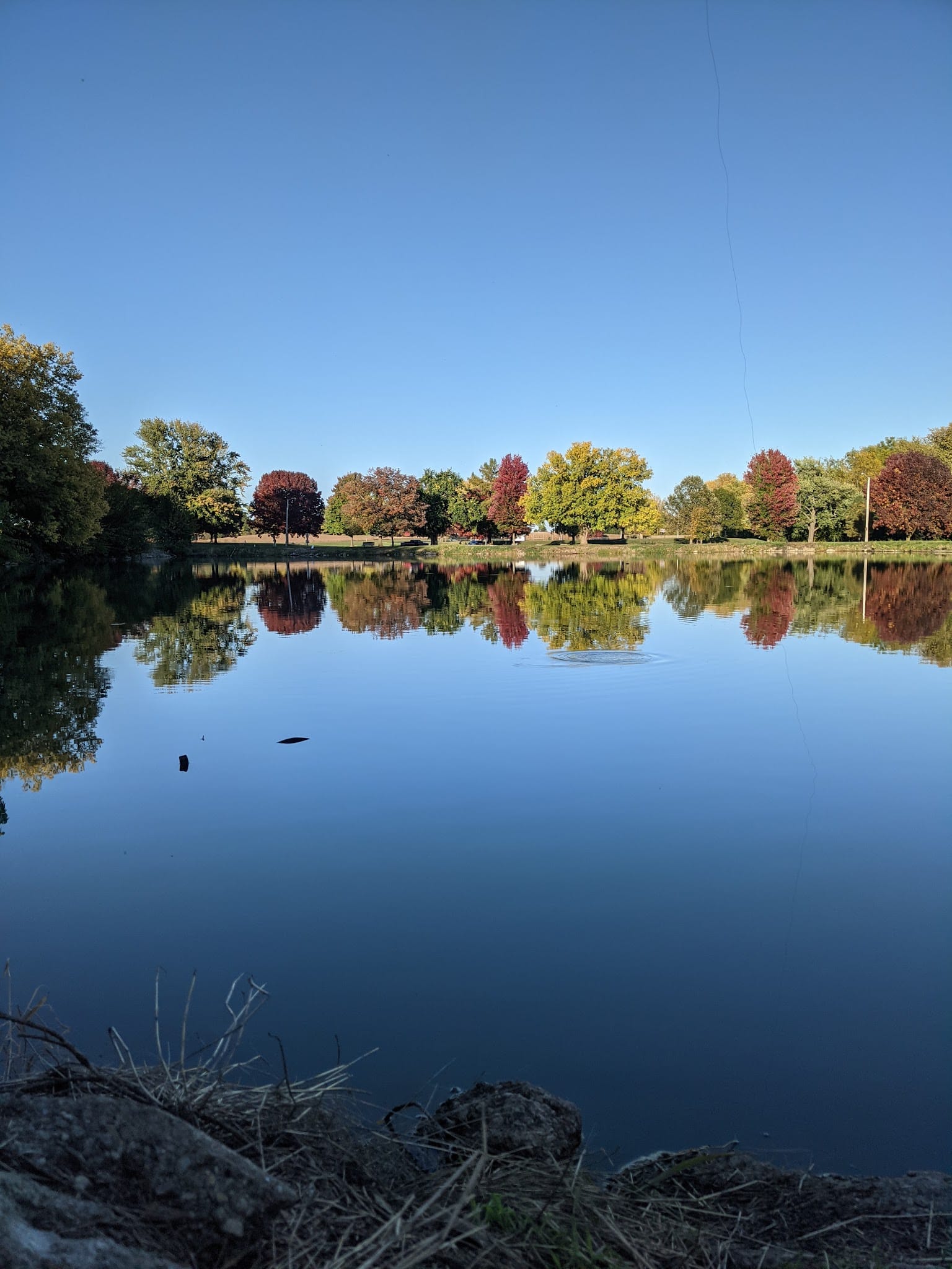 Lake Park - Delavan, IL
