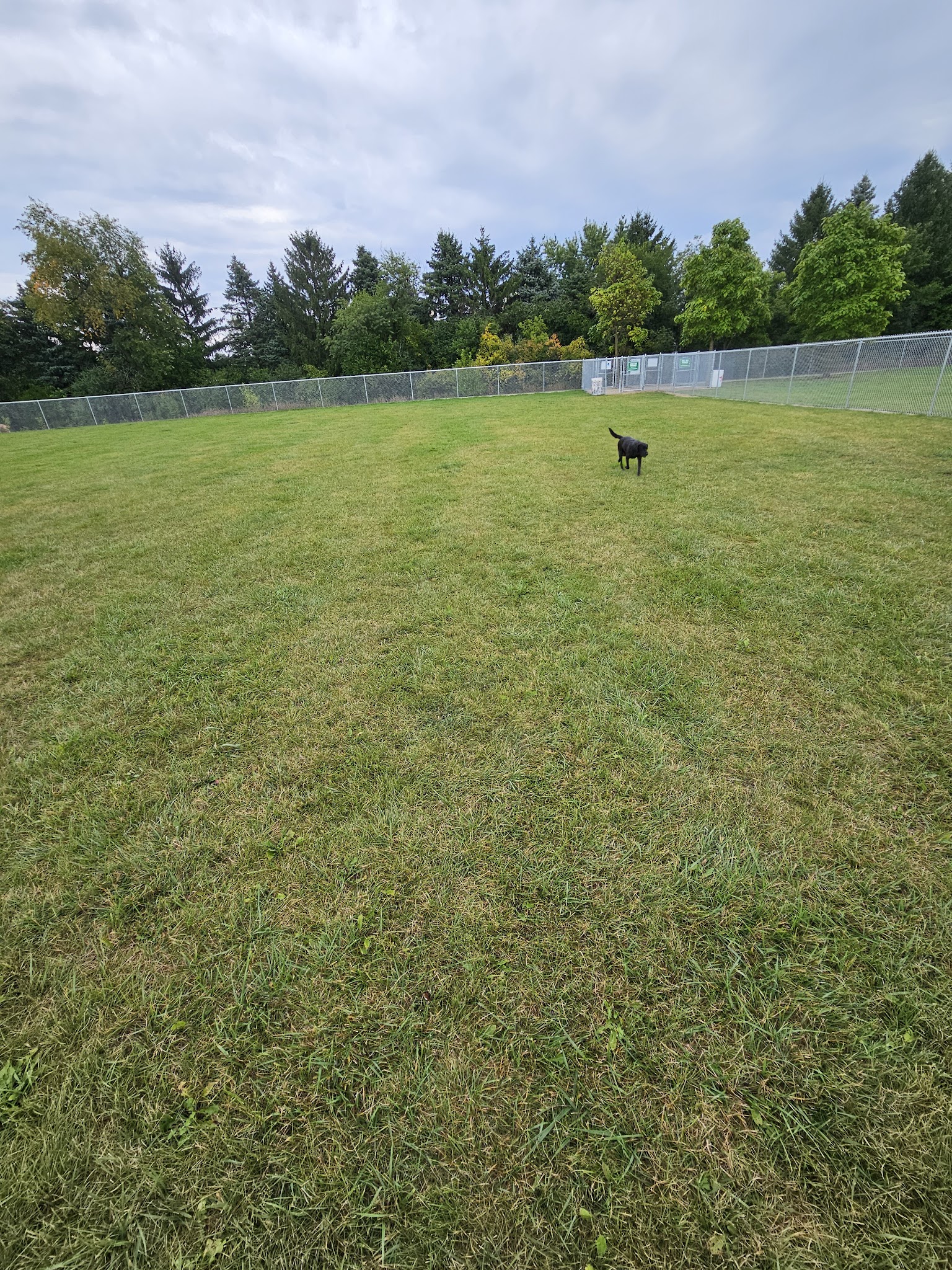 Gordon Yadon Park - Delavan, WI