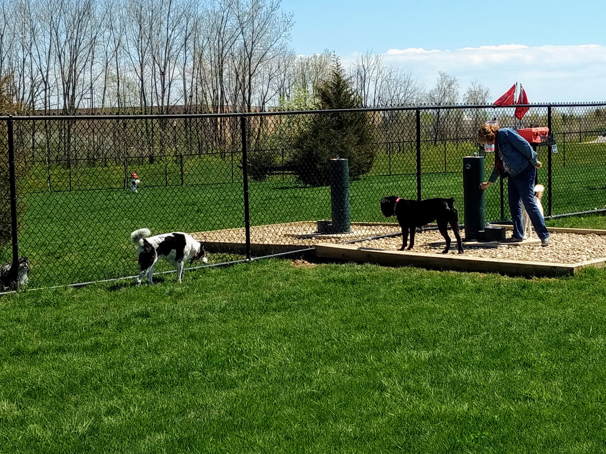 Delaware City Dog Park - Delaware, OH