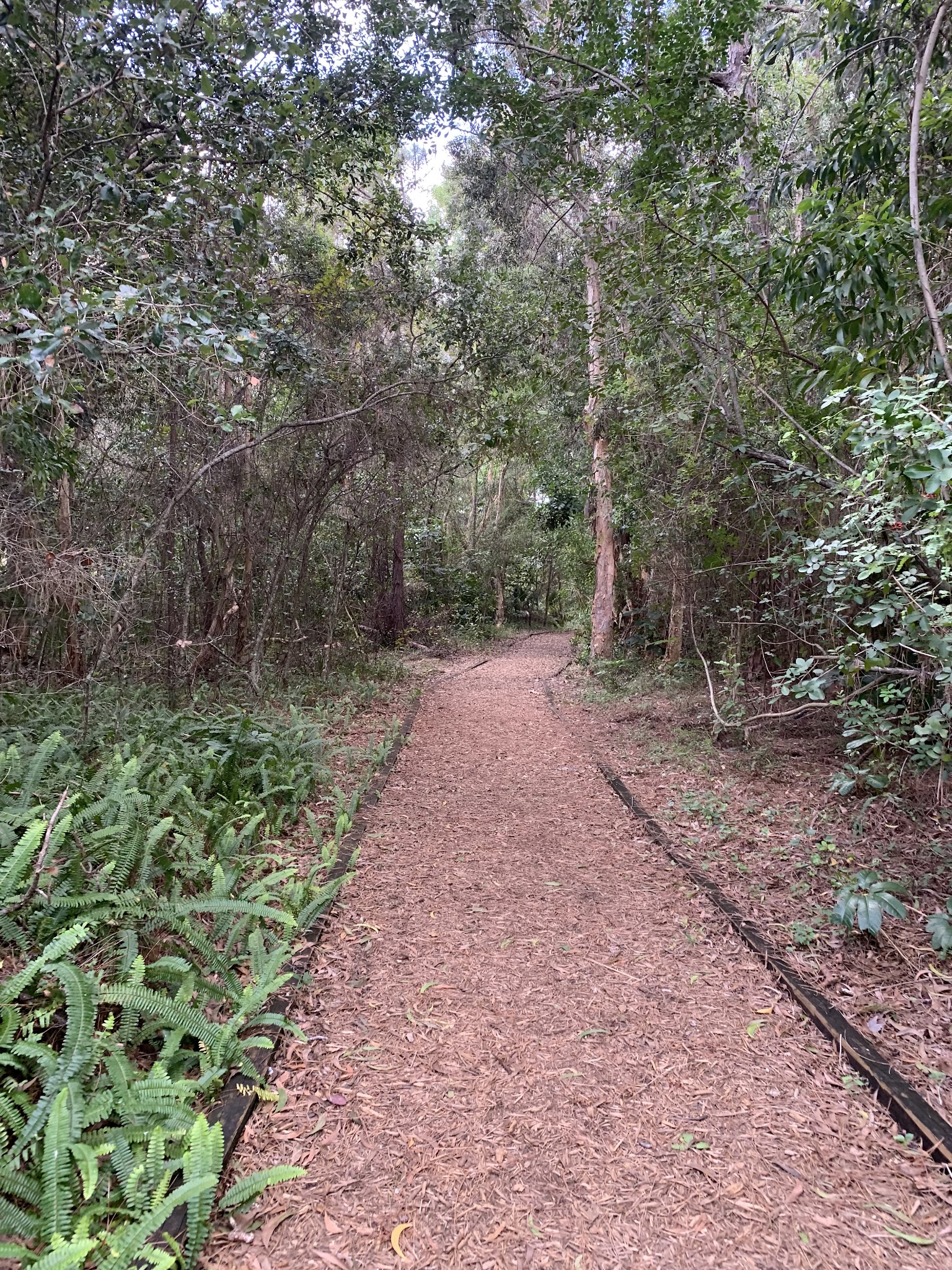 Bexley Trail Community Park - Delray Beach, FL