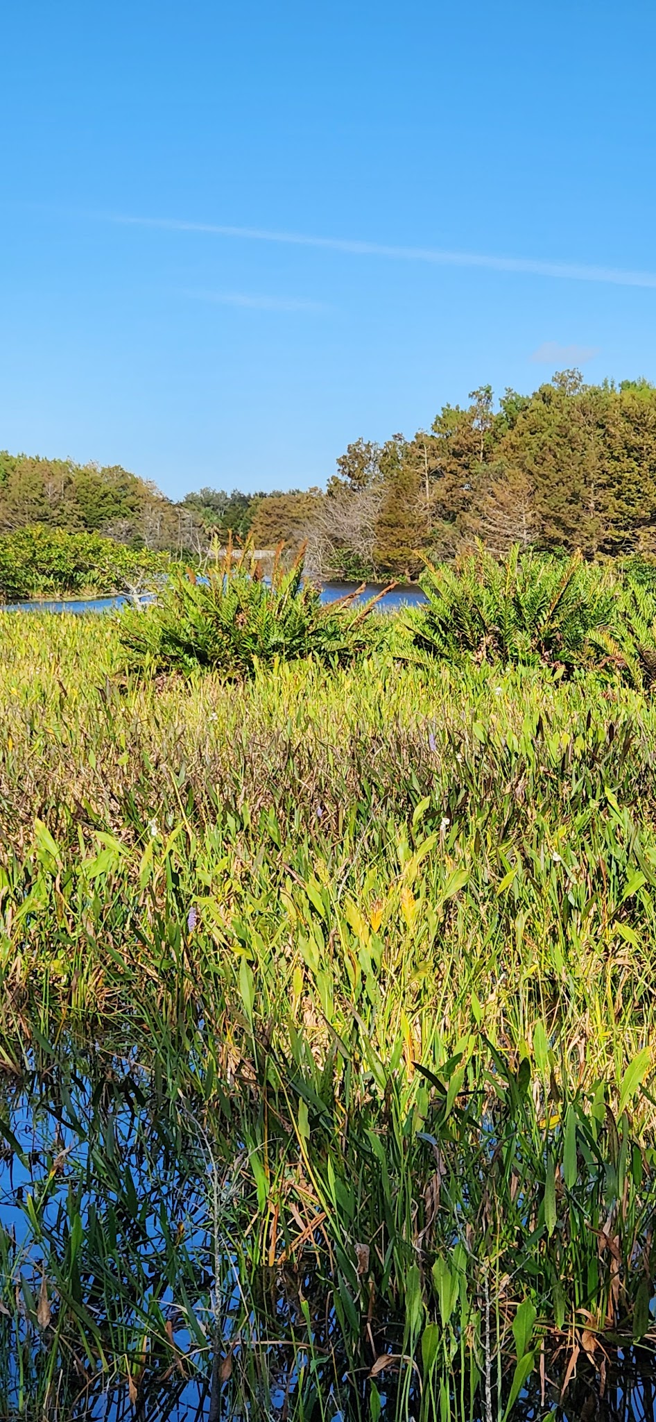 City of Delray Beach Orchard View Park - Delray Beach, FL