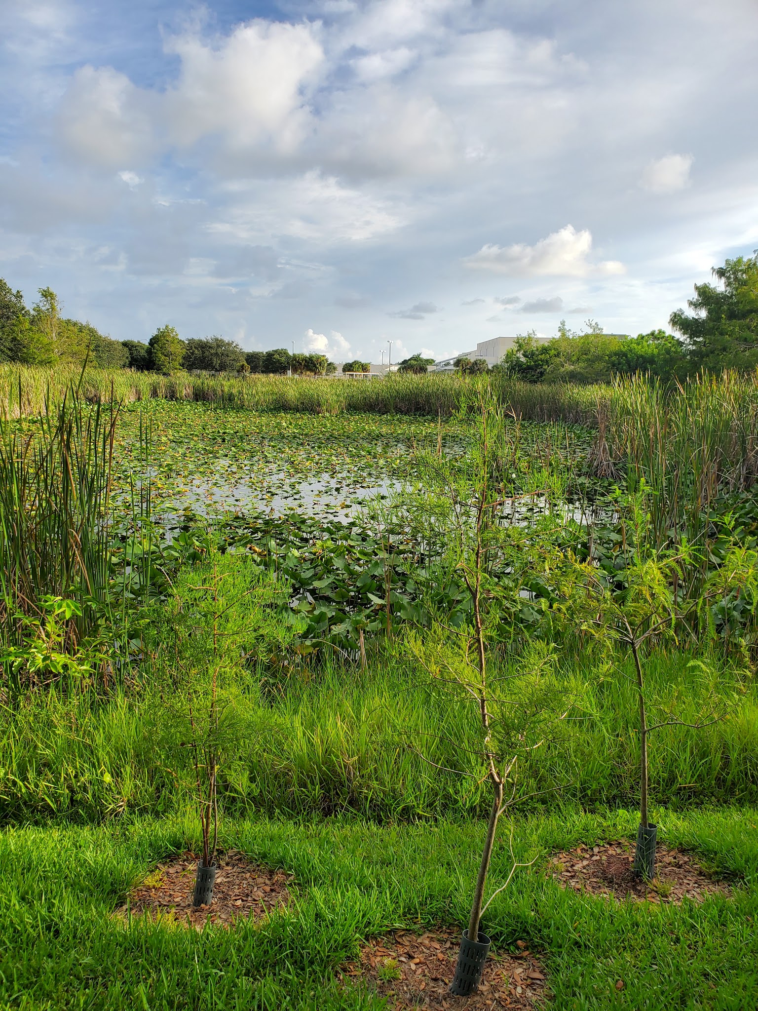 Eagle Park - Delray Beach, FL