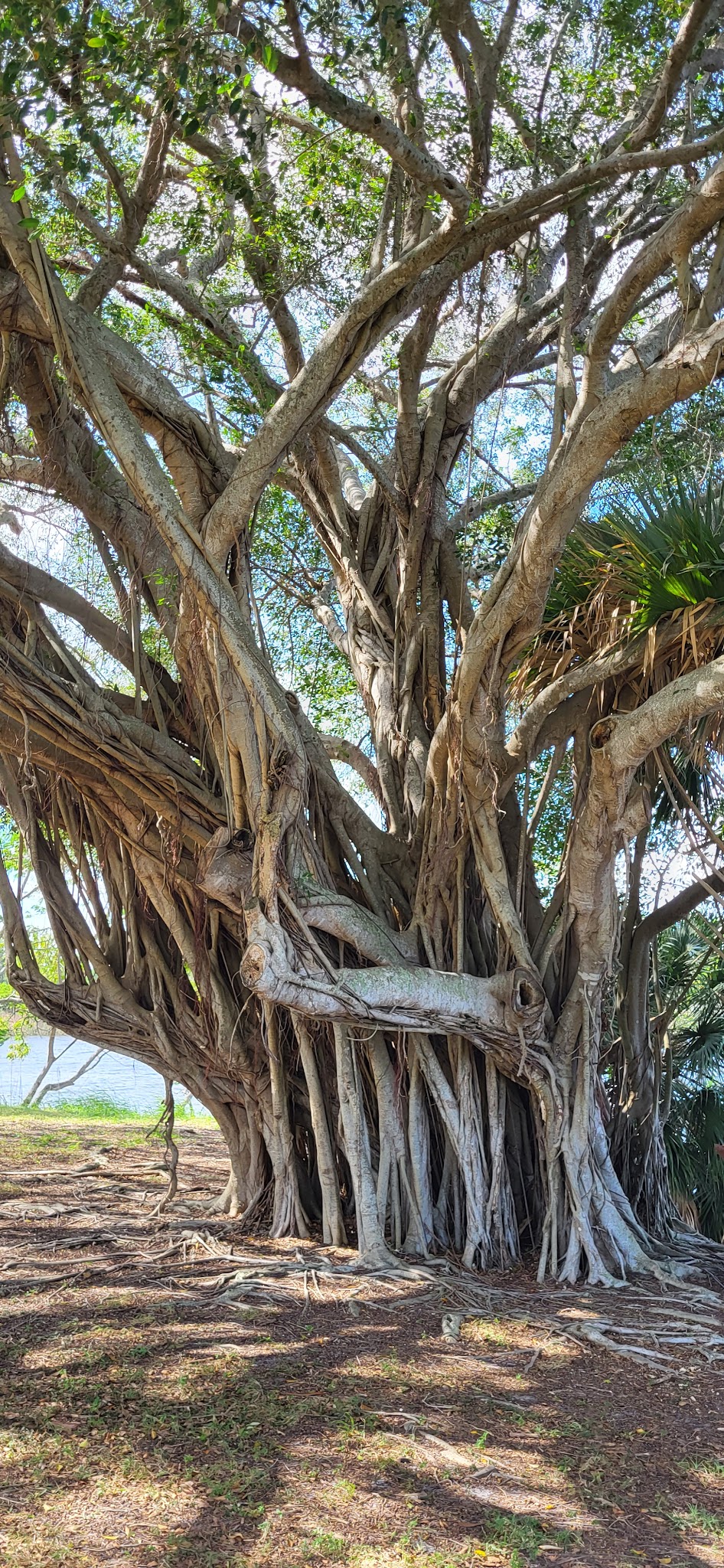 Lake Ida East Park - Delray Beach, FL