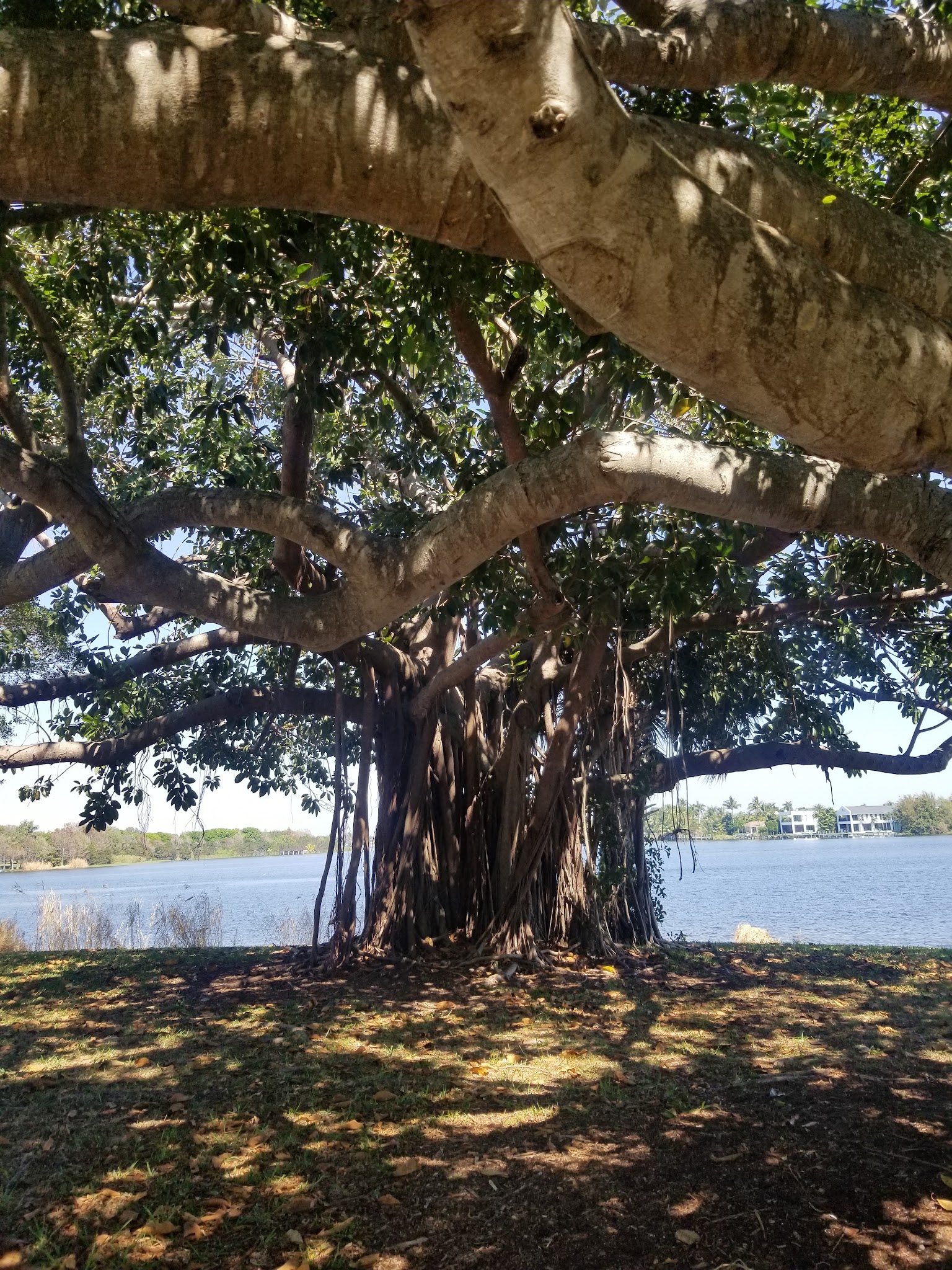 Lake Ida East Park - Delray Beach, FL
