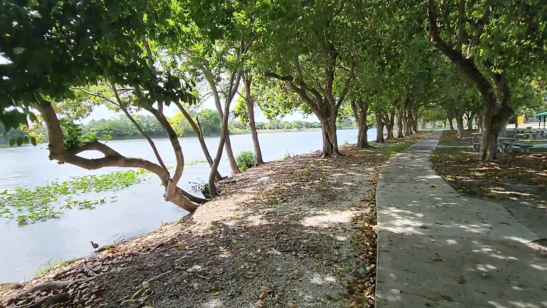 Lake Ida East Park - Delray Beach, FL