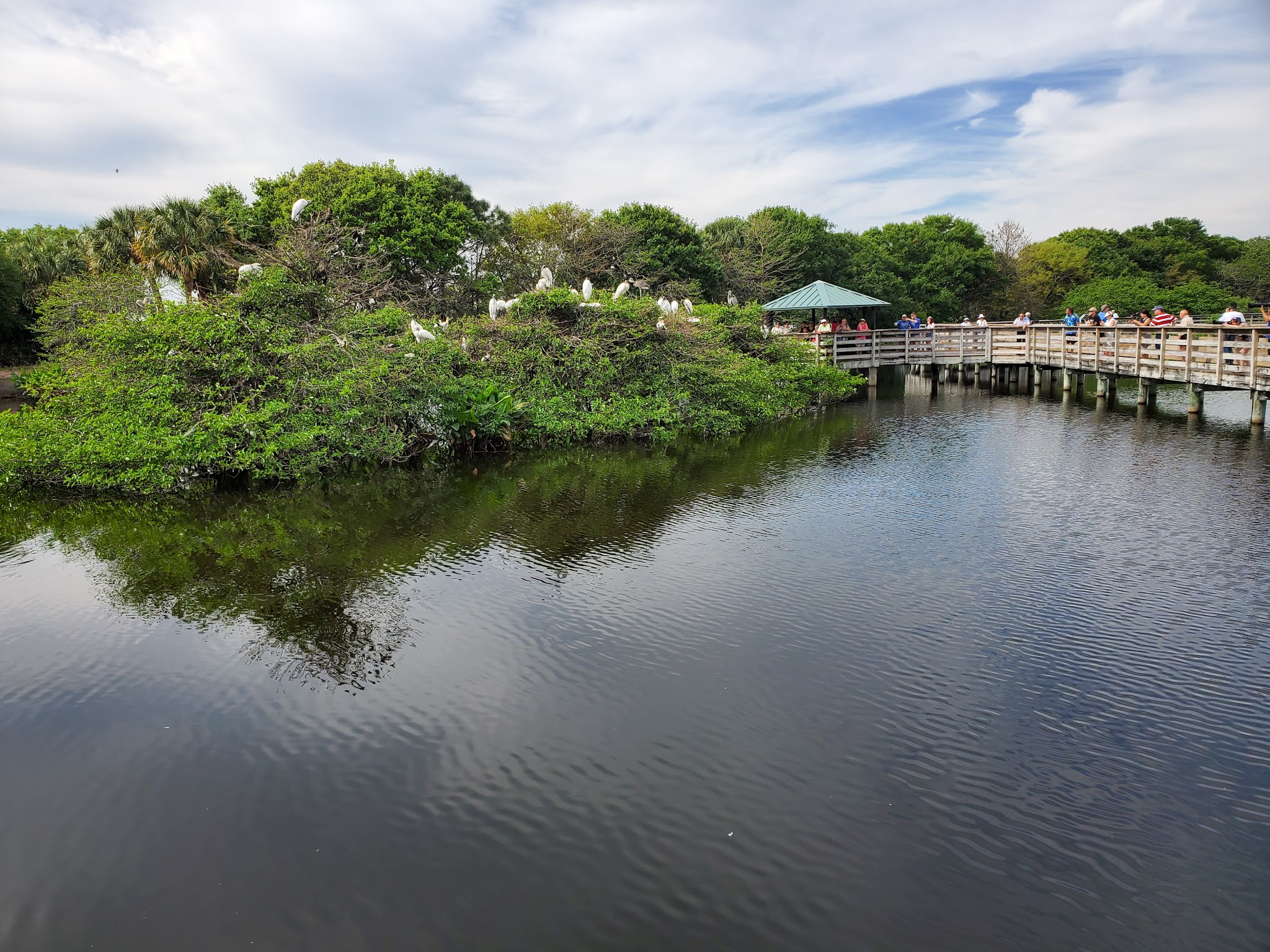 Wakodahatchee Wetlands - Delray Beach, FL