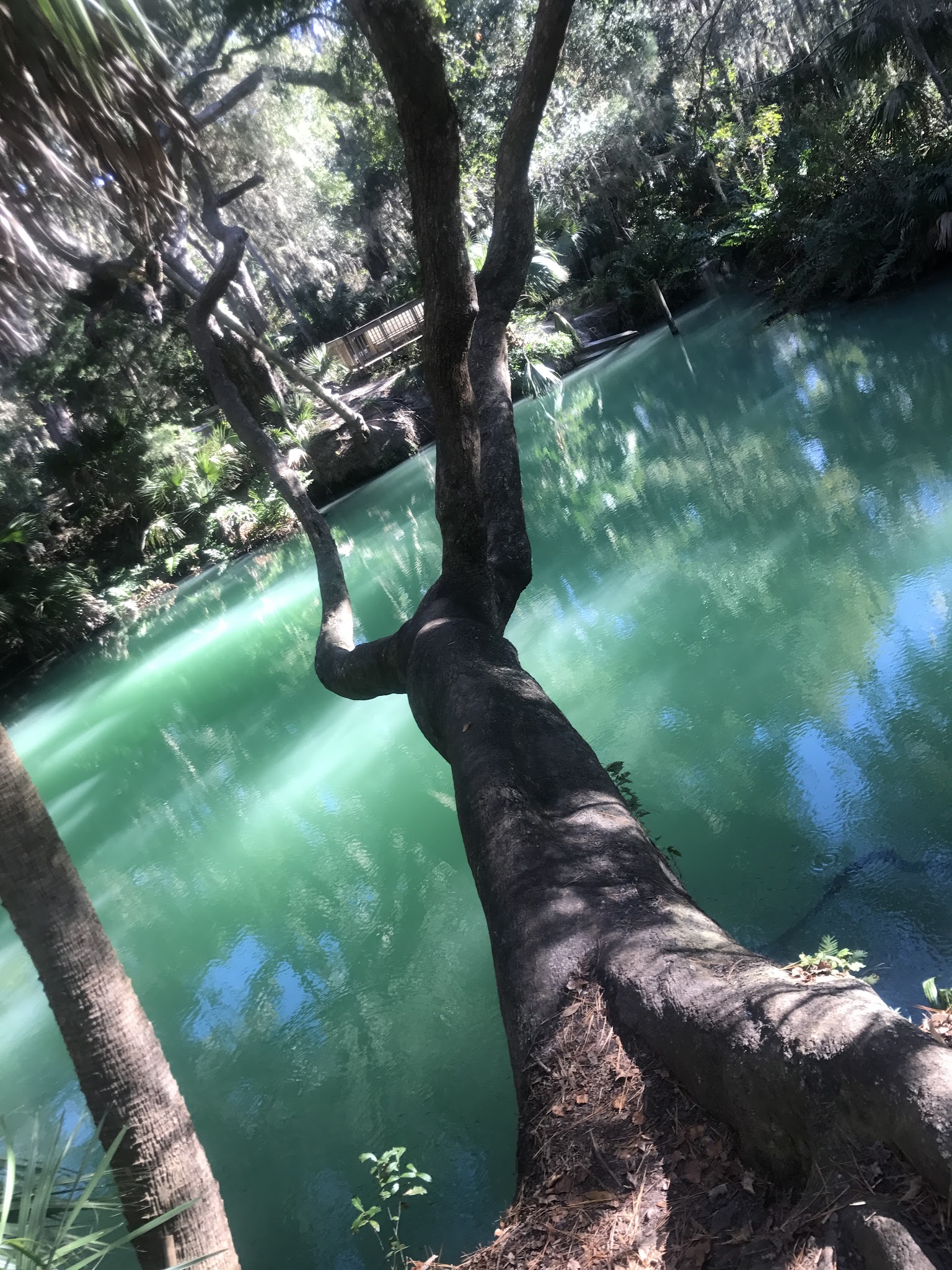 City of Deltona's Parks - Deltona, FL