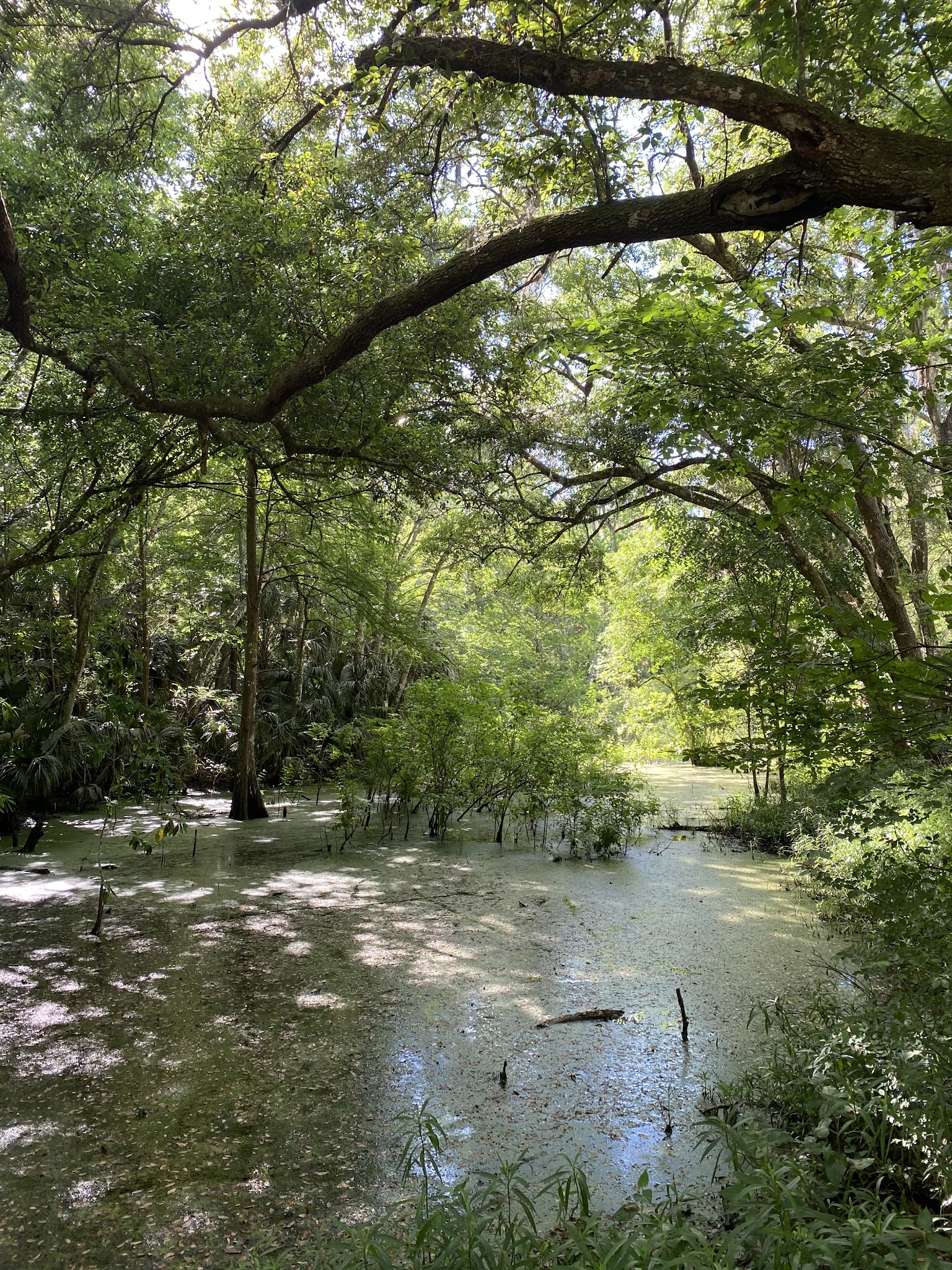 East Central Regional Rail Trail - Deltona, FL
