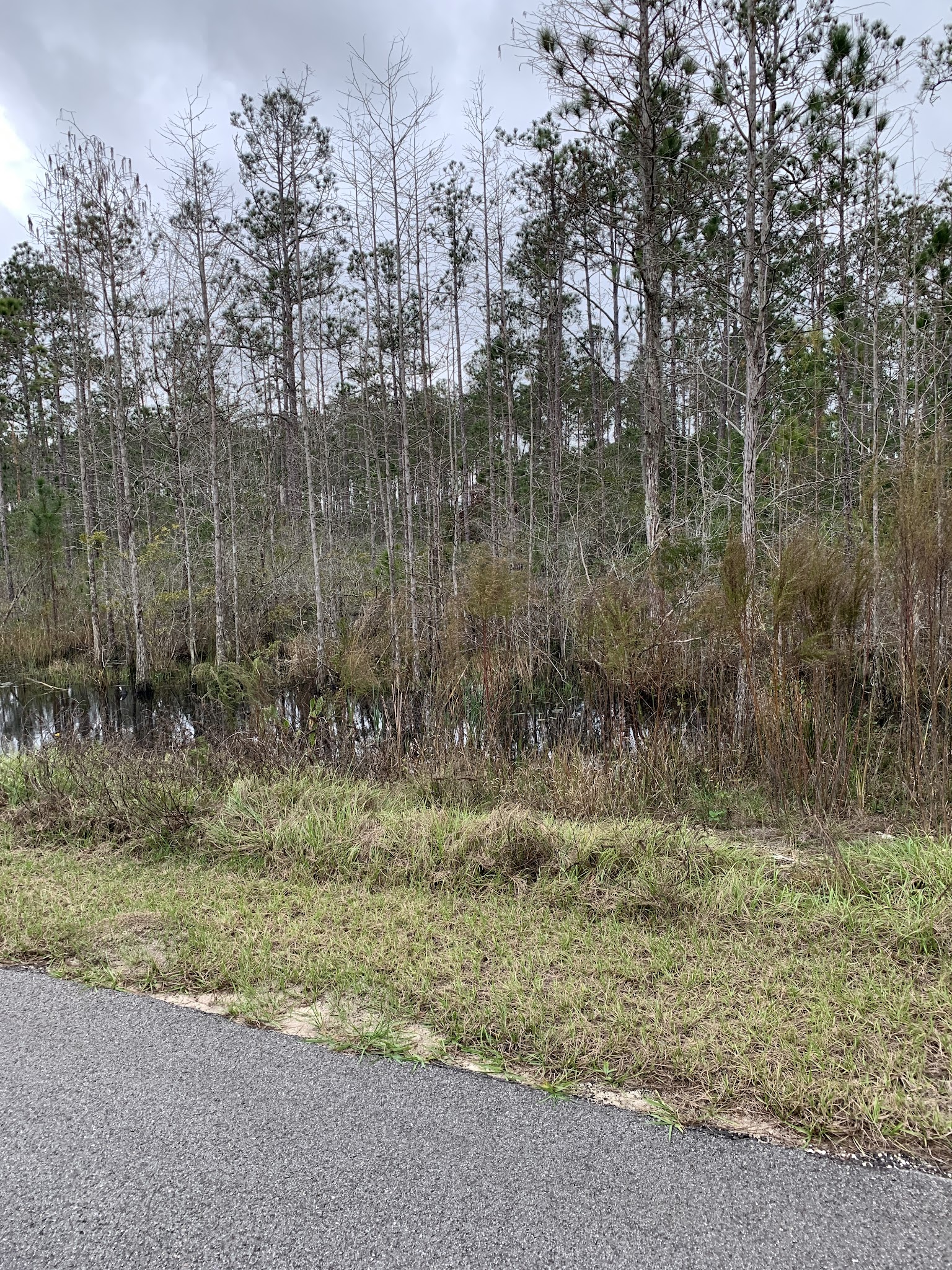 East Central Regional Rail Trail - Deltona, FL