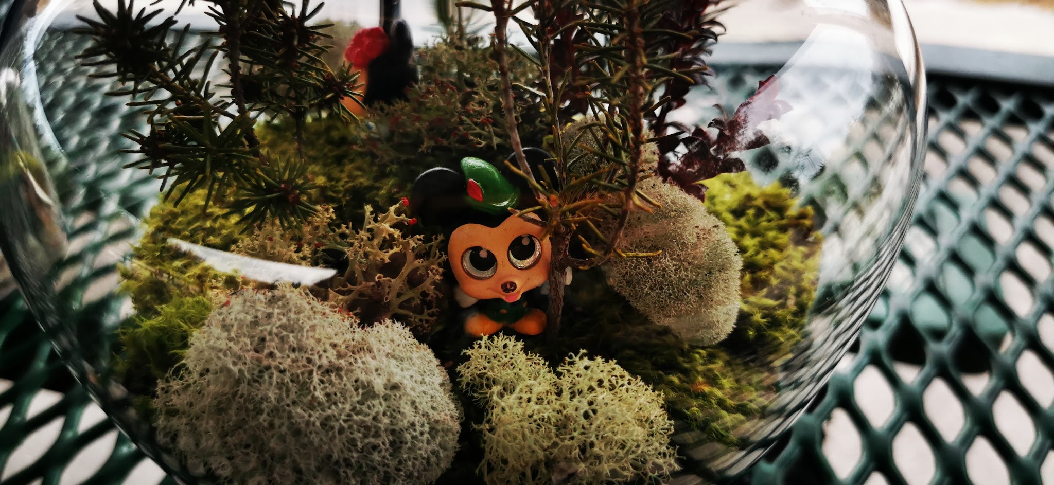 Lyonia Preserve Trail Head - Deltona, FL