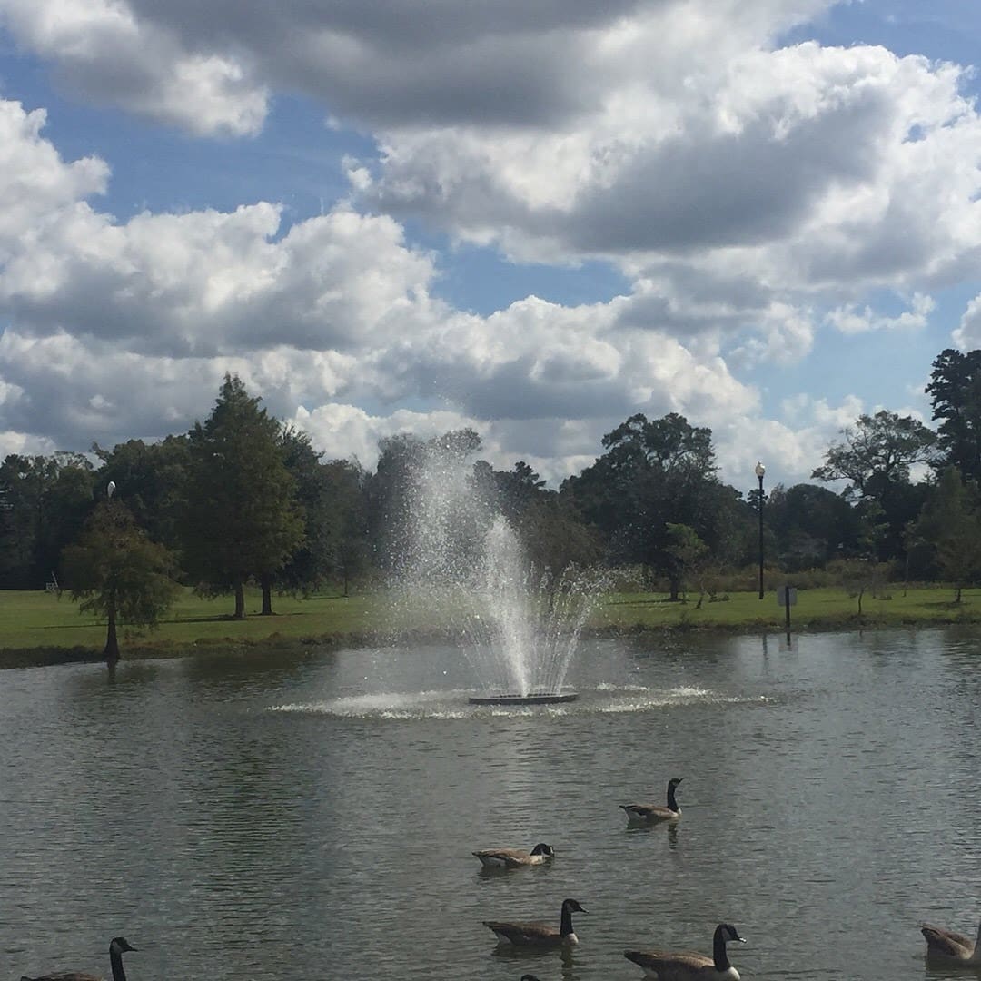 North Park - Denham Springs, LA