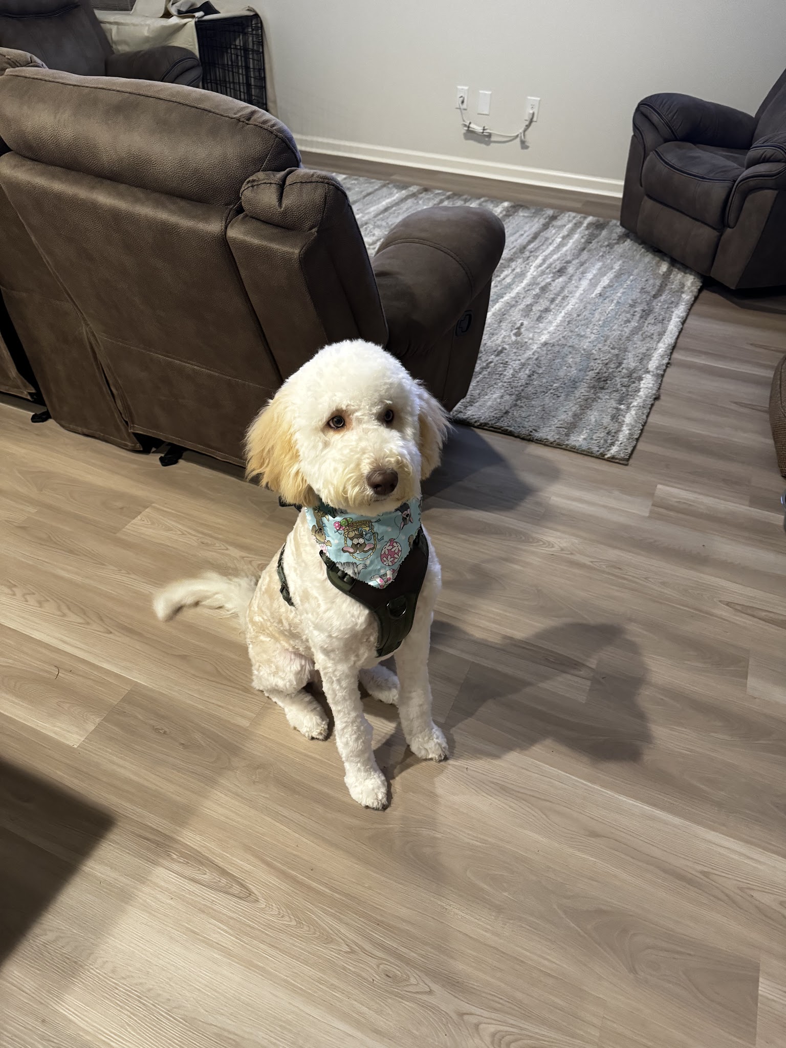 Off The Chain - Denham Springs, LA