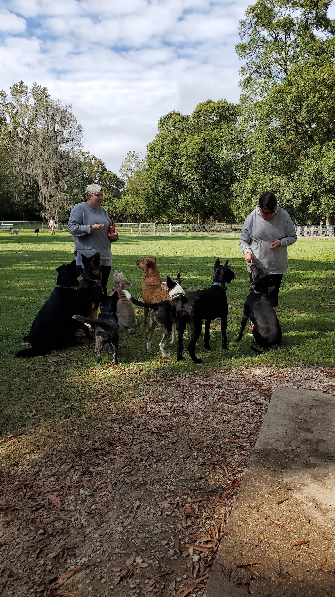 Parks Recreation District 3 ( South Park ) - Denham Springs, LA