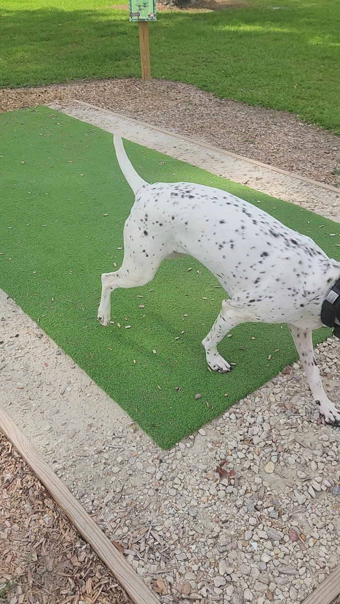 Parks Recreation District 3 ( South Park ) - Denham Springs, LA