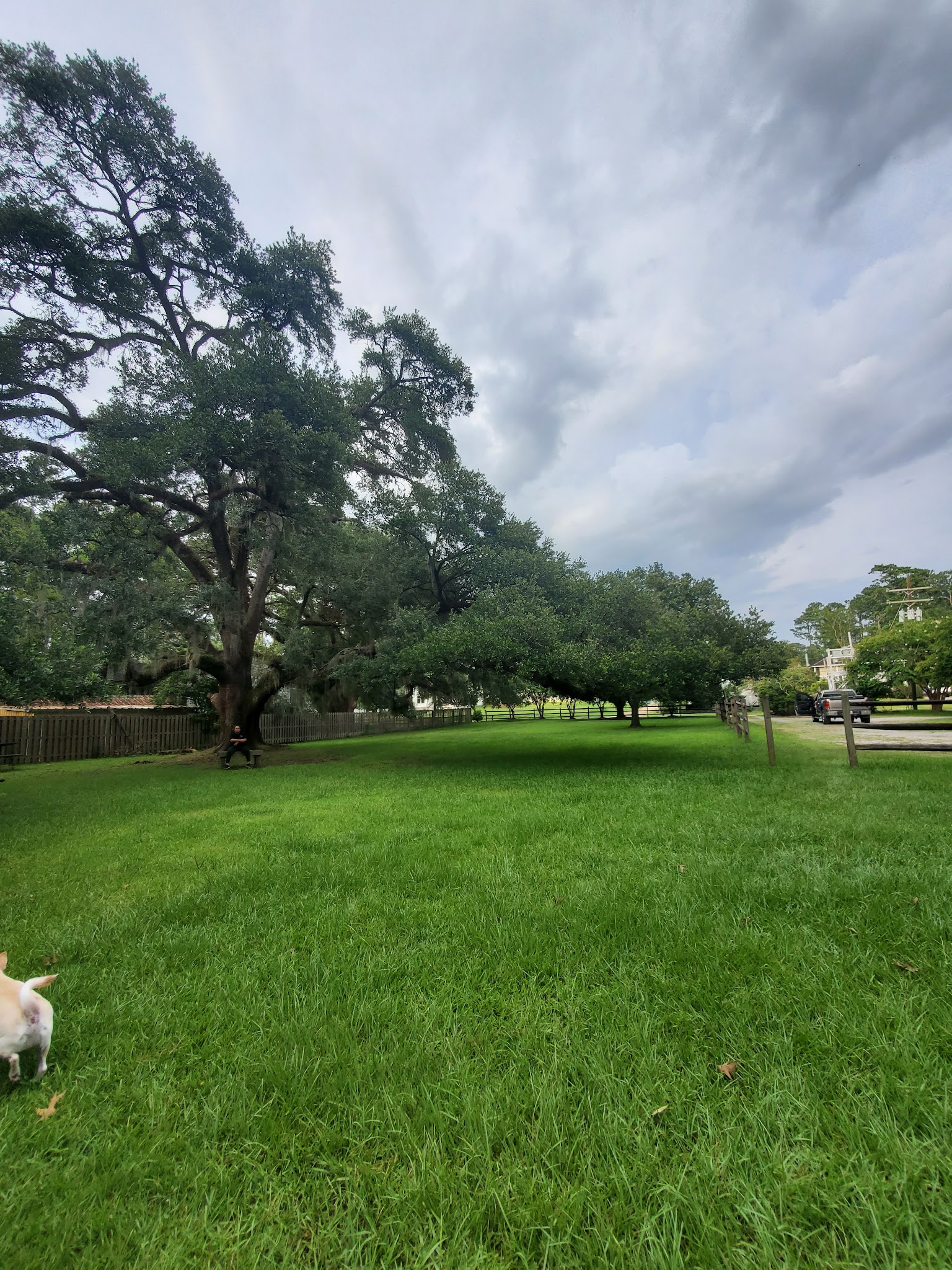 Spring Park - Denham Springs, LA