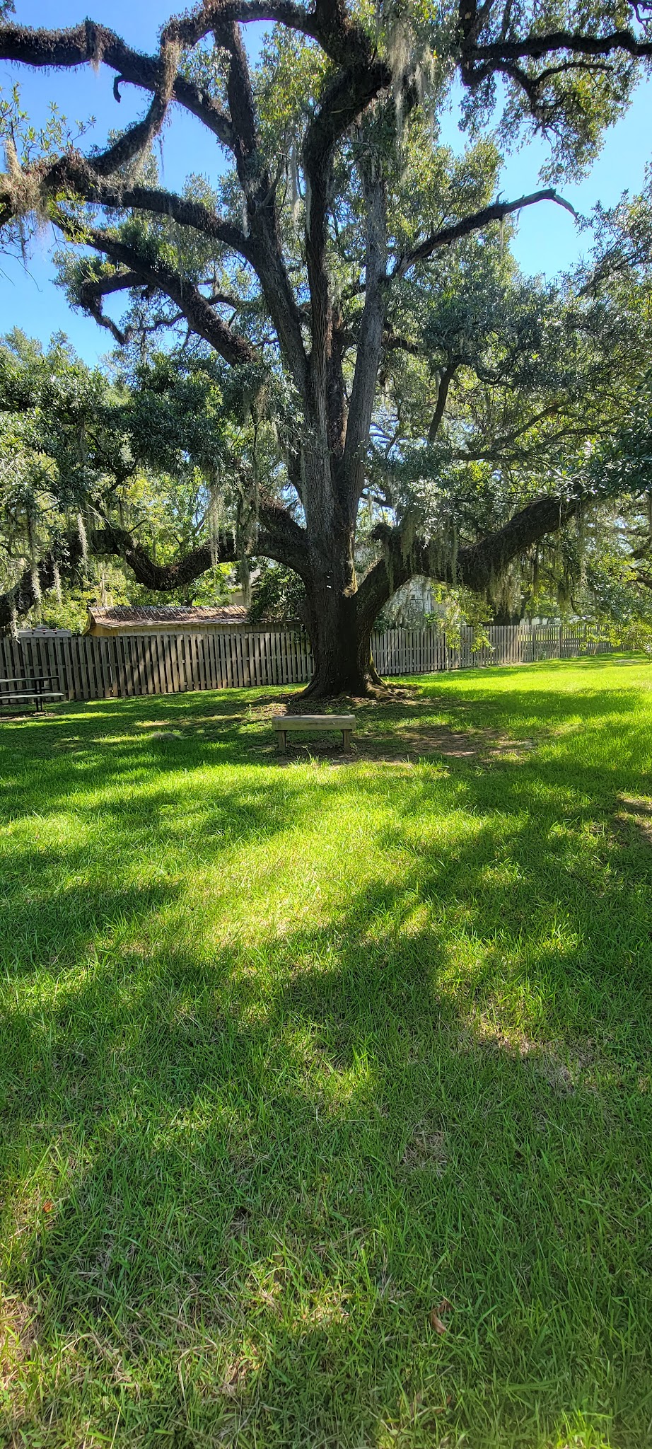 Spring Park - Denham Springs, LA