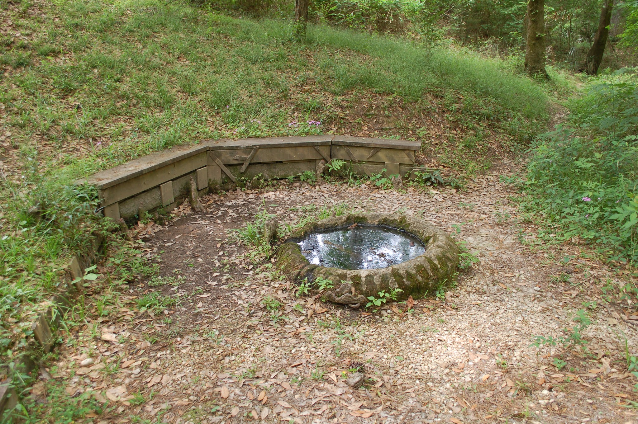 Spring Park - Denham Springs, LA