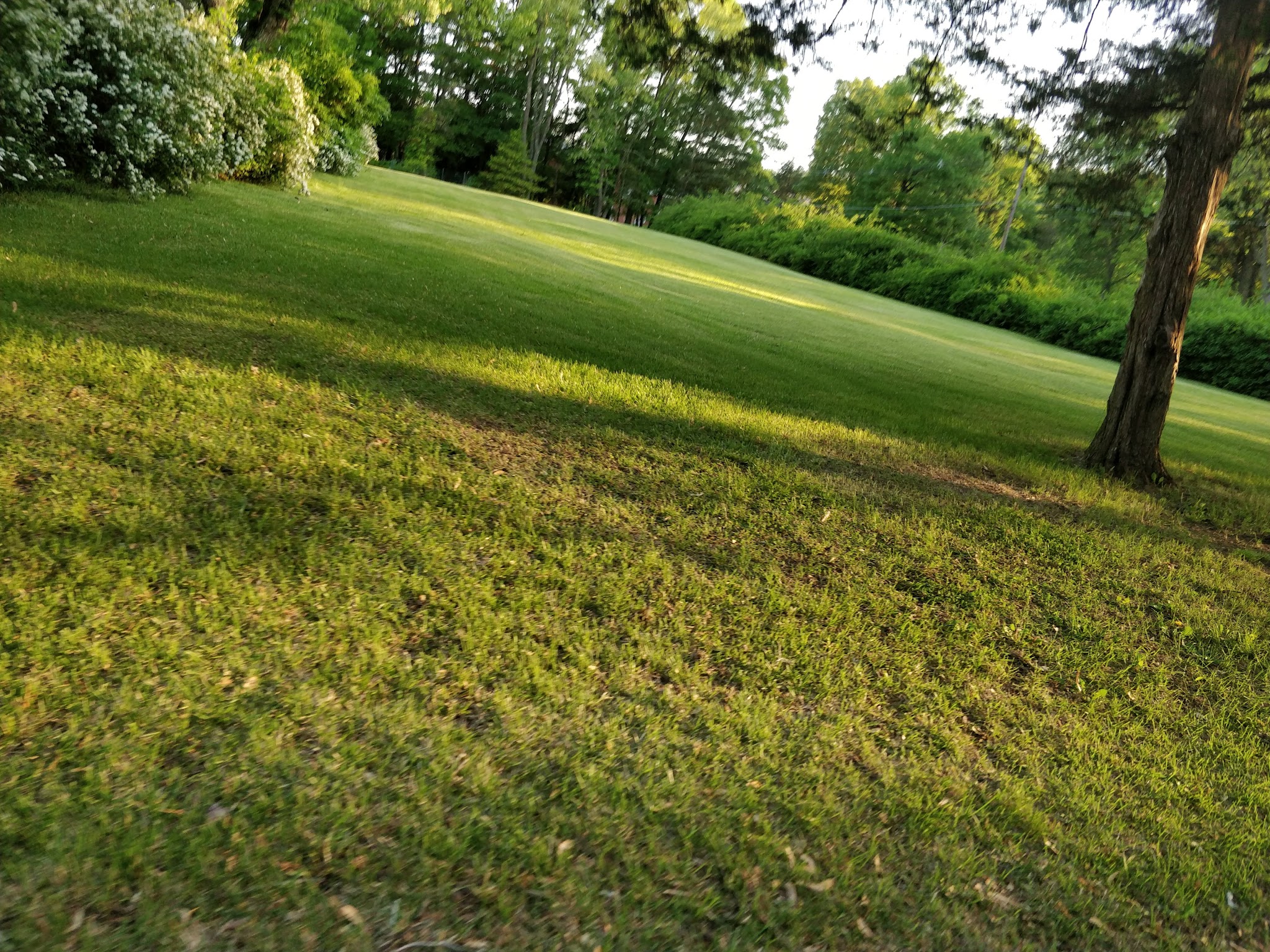 Cynthia's Landing - Denville, NJ