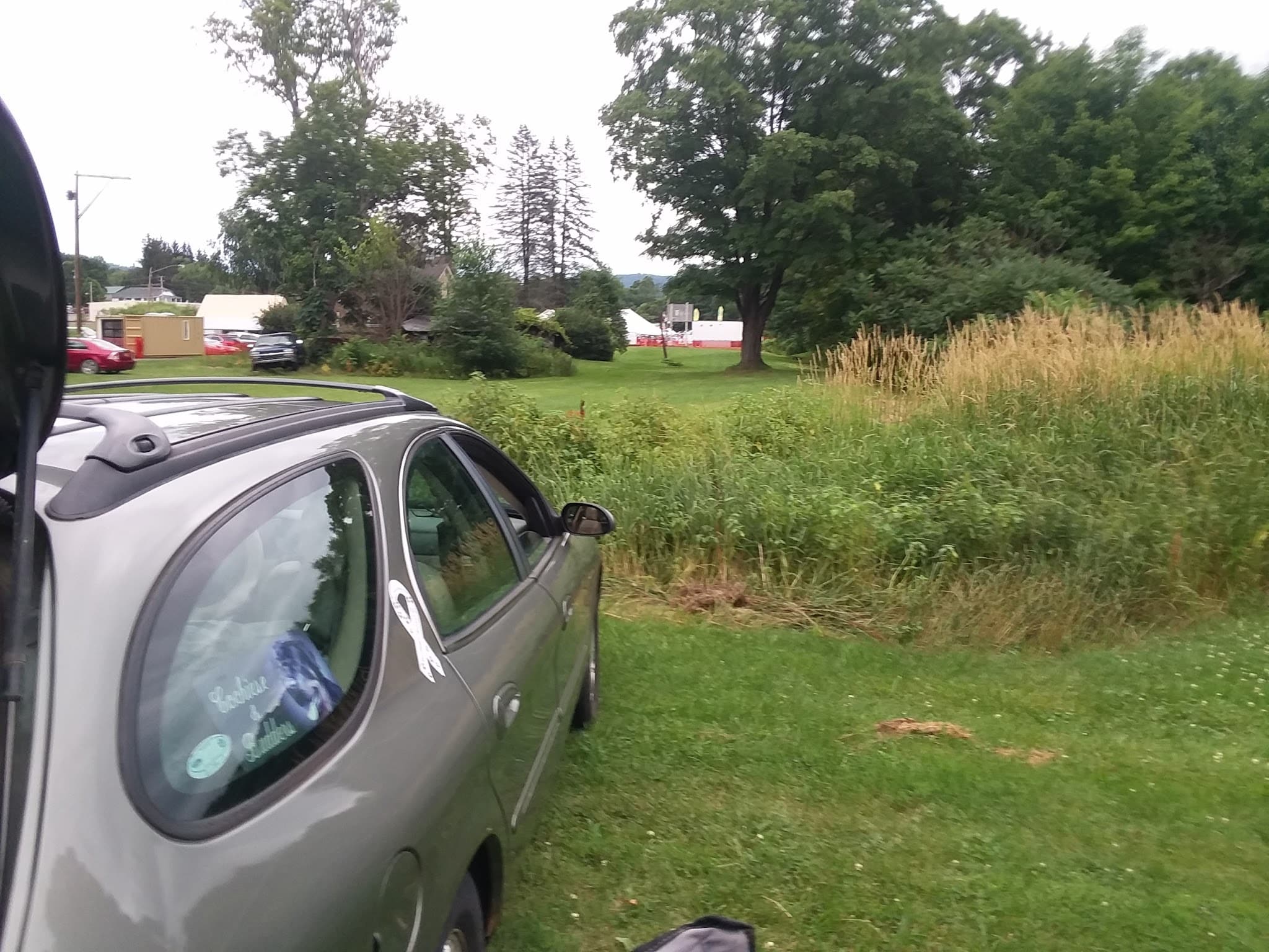 Fireman's Field Park - Deposit, NY