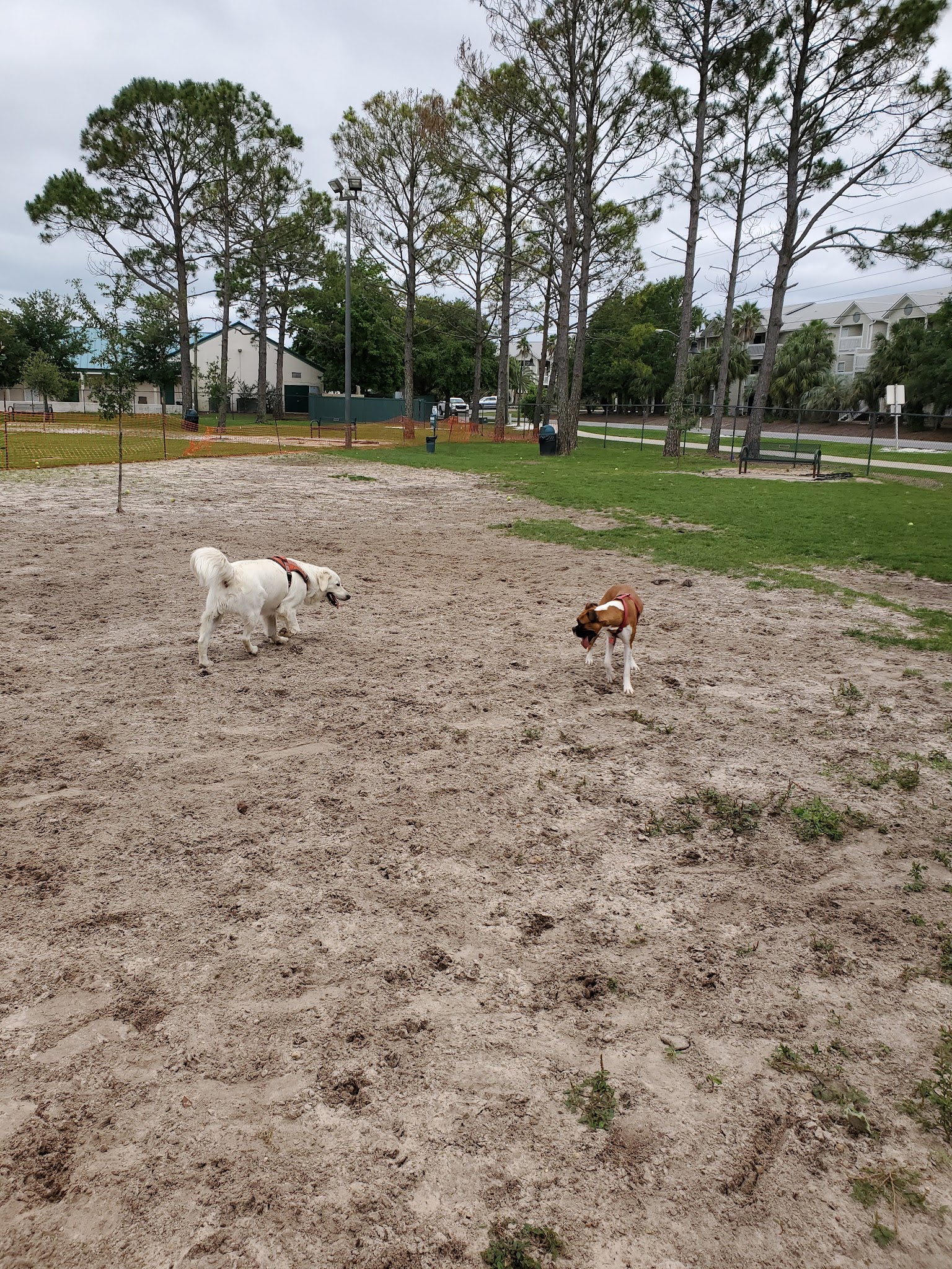 Destin Dog Park - Destin, FL