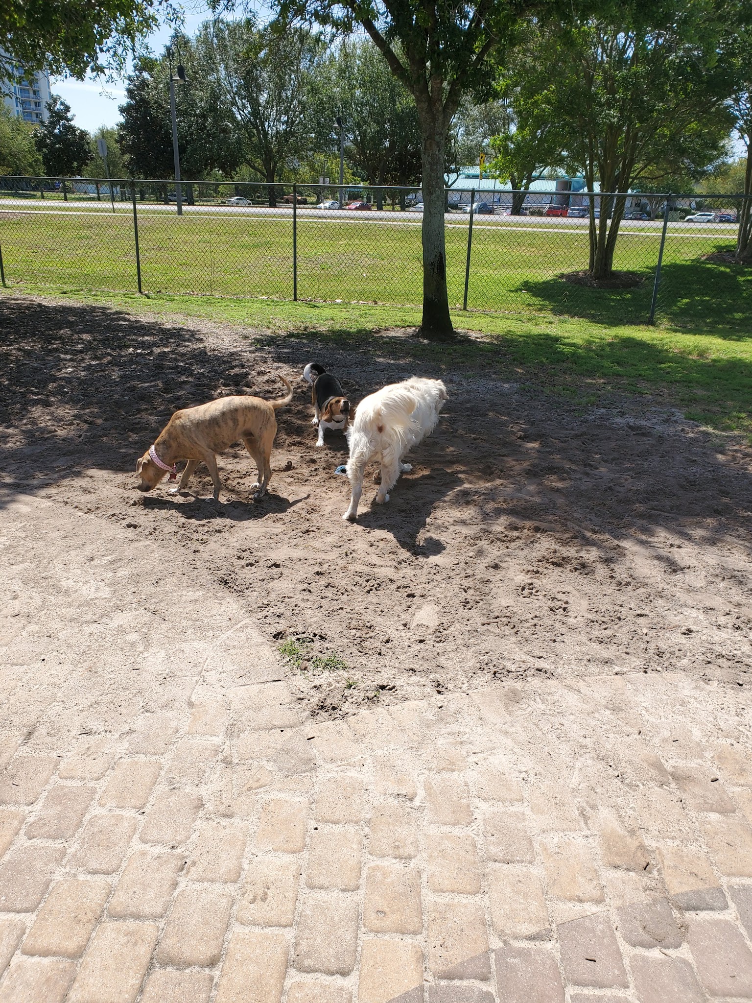 Destin Dog Park - Destin, FL