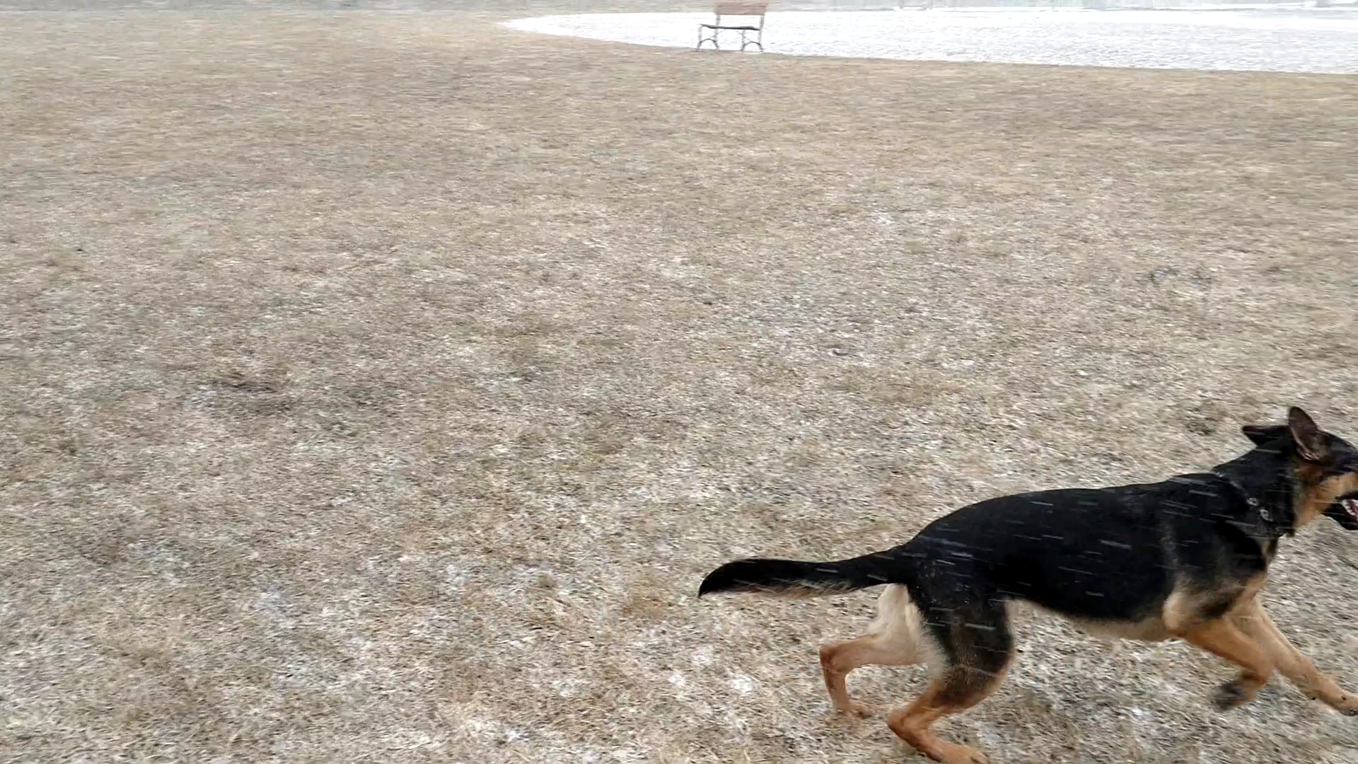 Detroit Lakes Dog Park - Detroit Lakes, MN