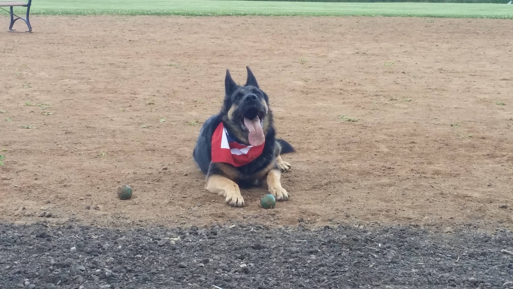 Detroit Lakes Dog Park - Detroit Lakes, MN