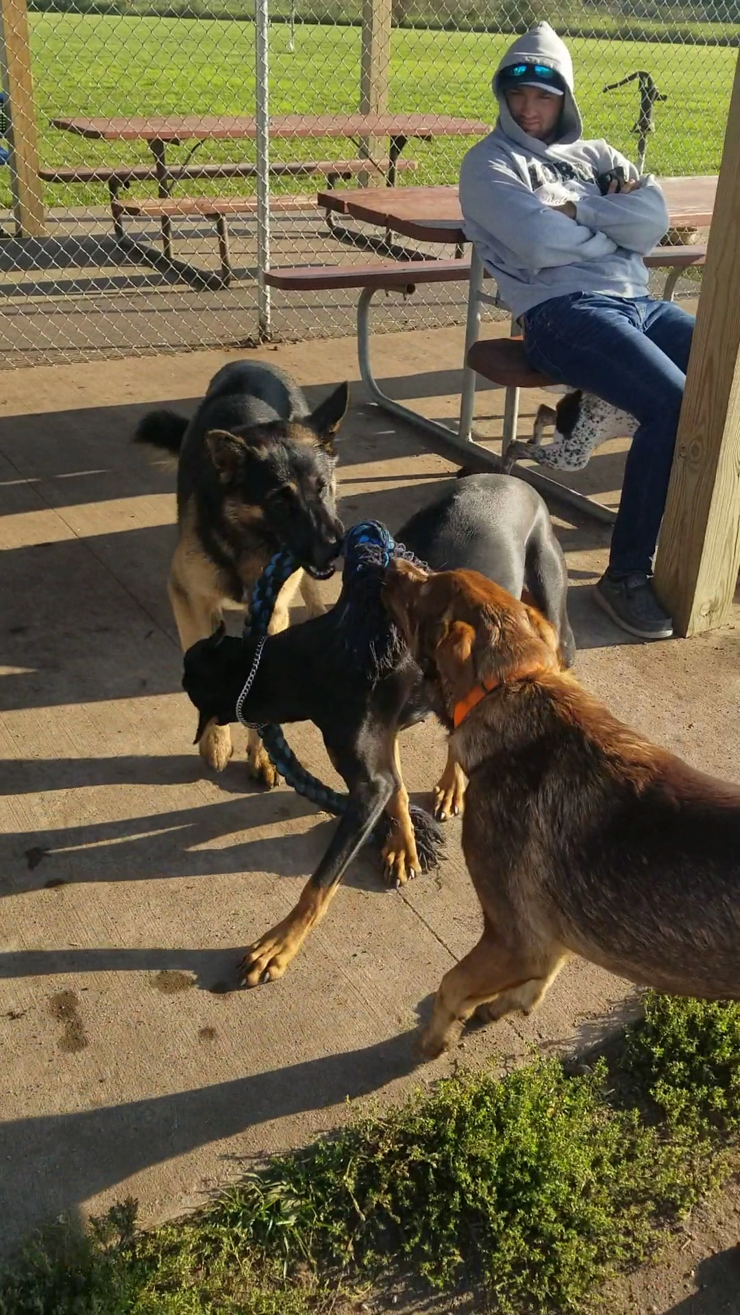Detroit Lakes Dog Park - Detroit Lakes, MN