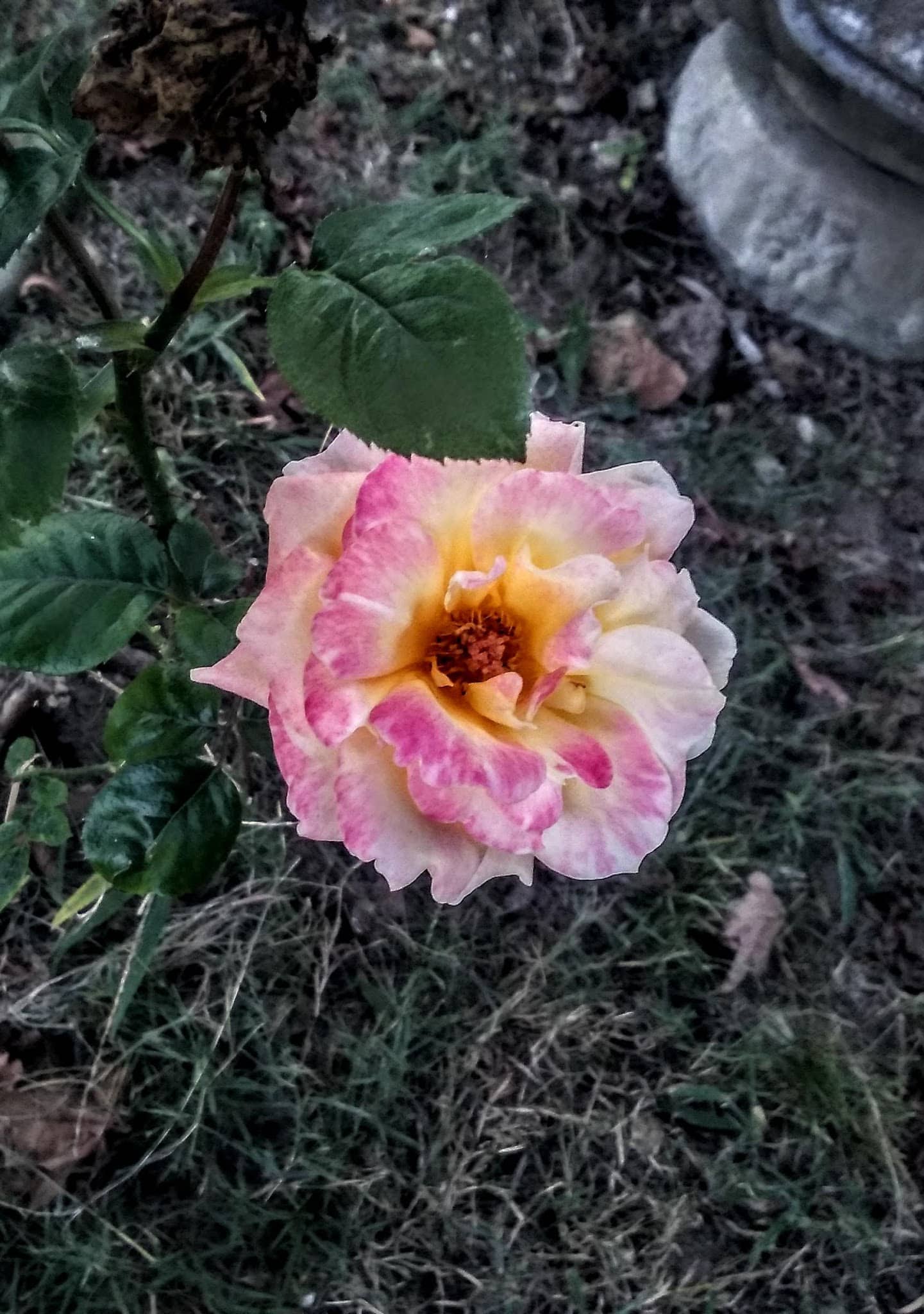 Dieckhoff City Park - Diamond, MO