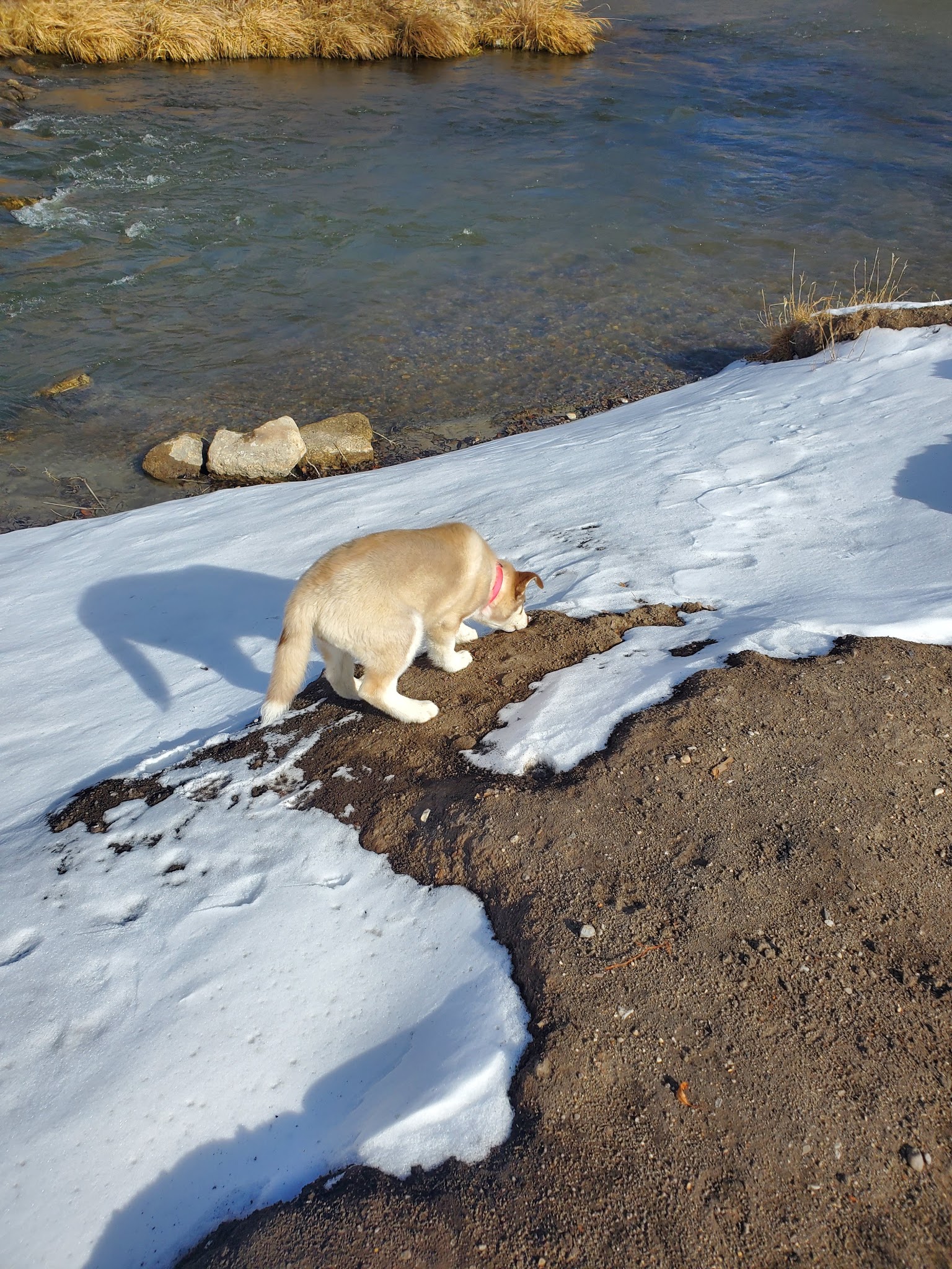 Cornell Park - Dillon, MT