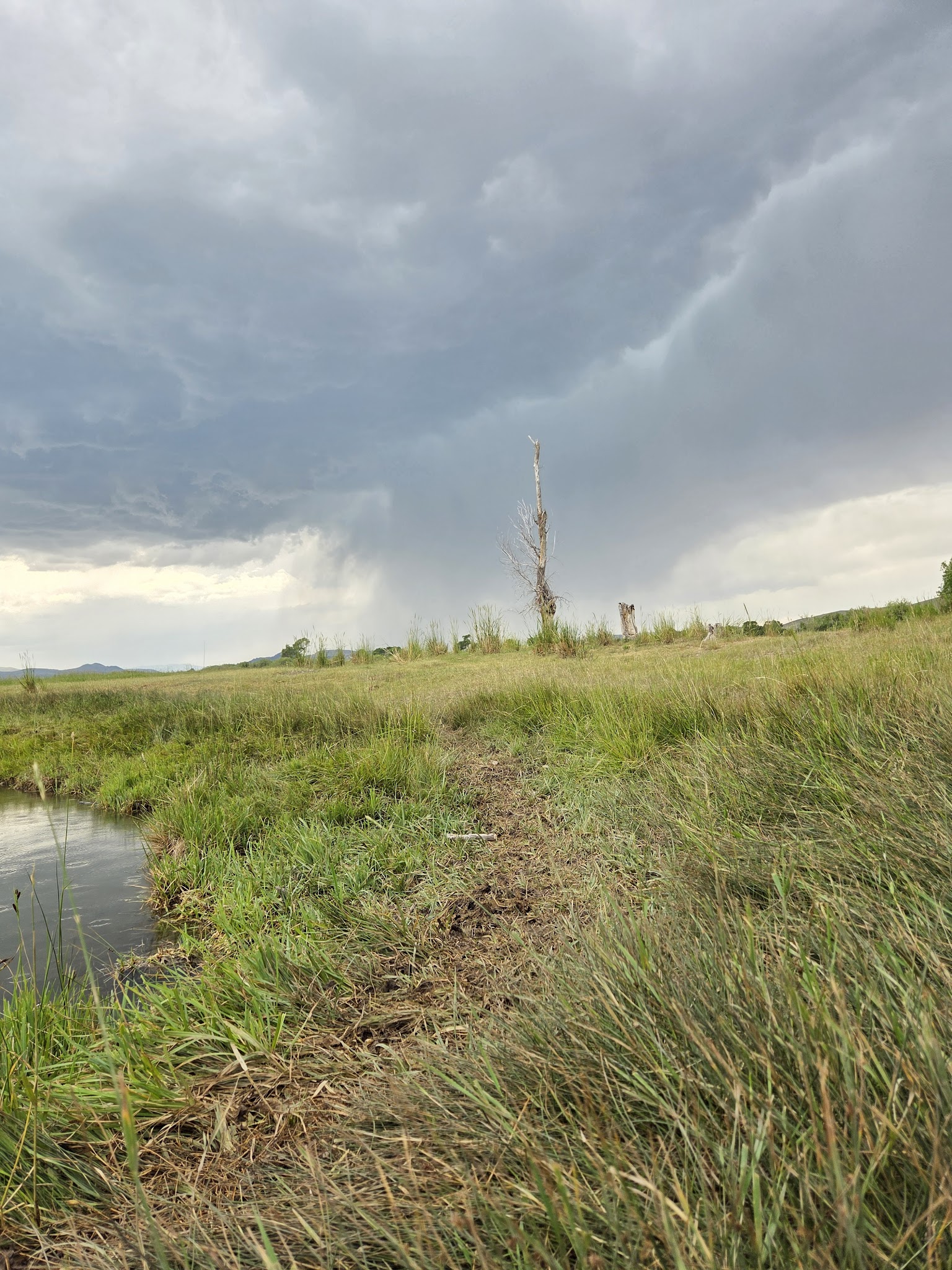 Cornell Park - Dillon, MT