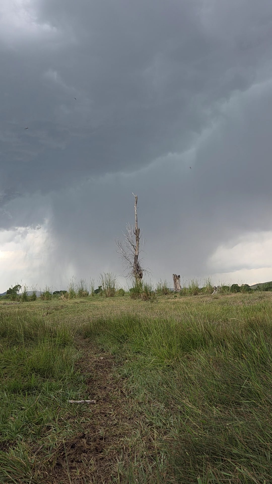 Cornell Park - Dillon, MT