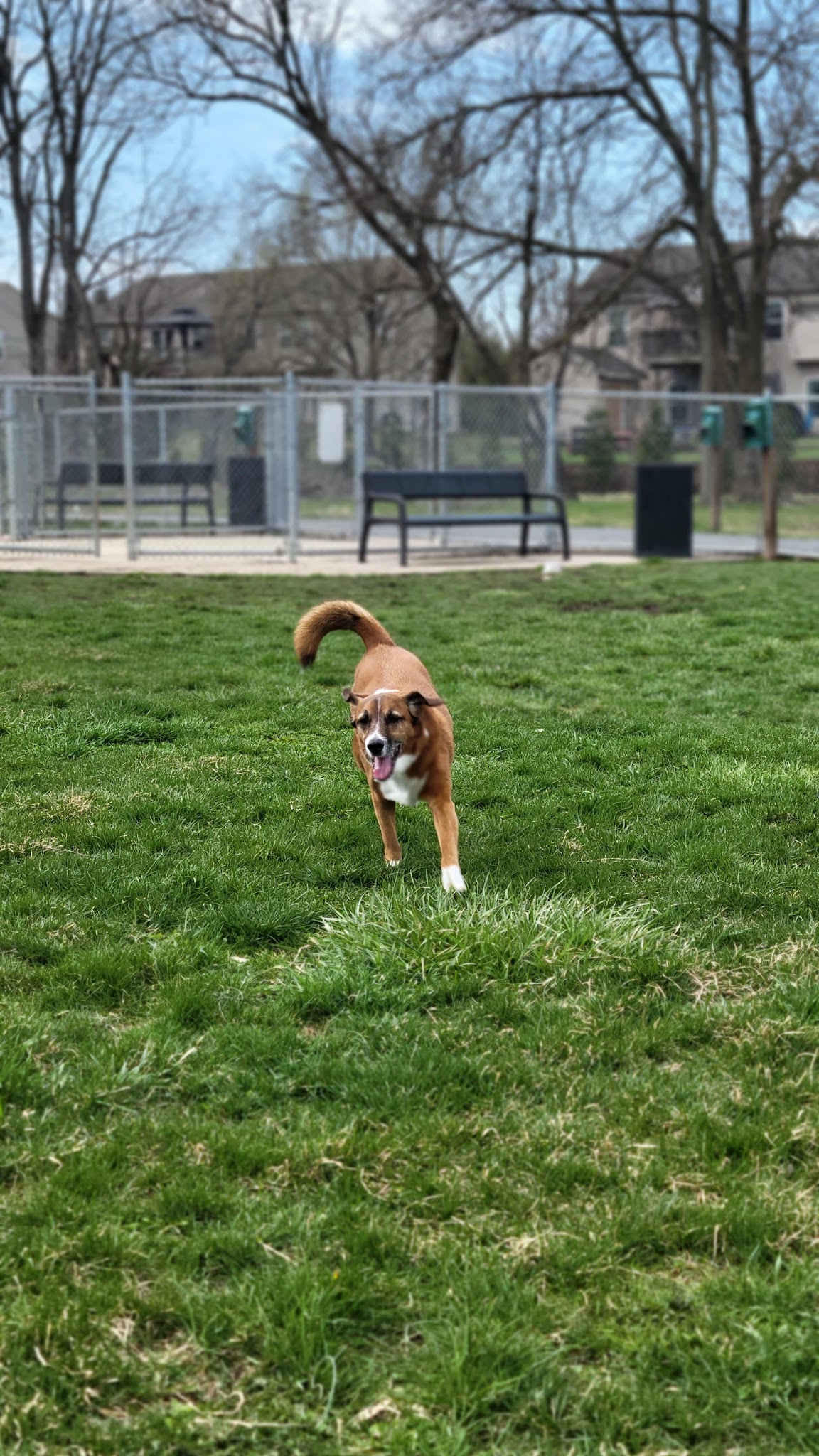 Dillsburg Community Park - Dillsburg, PA